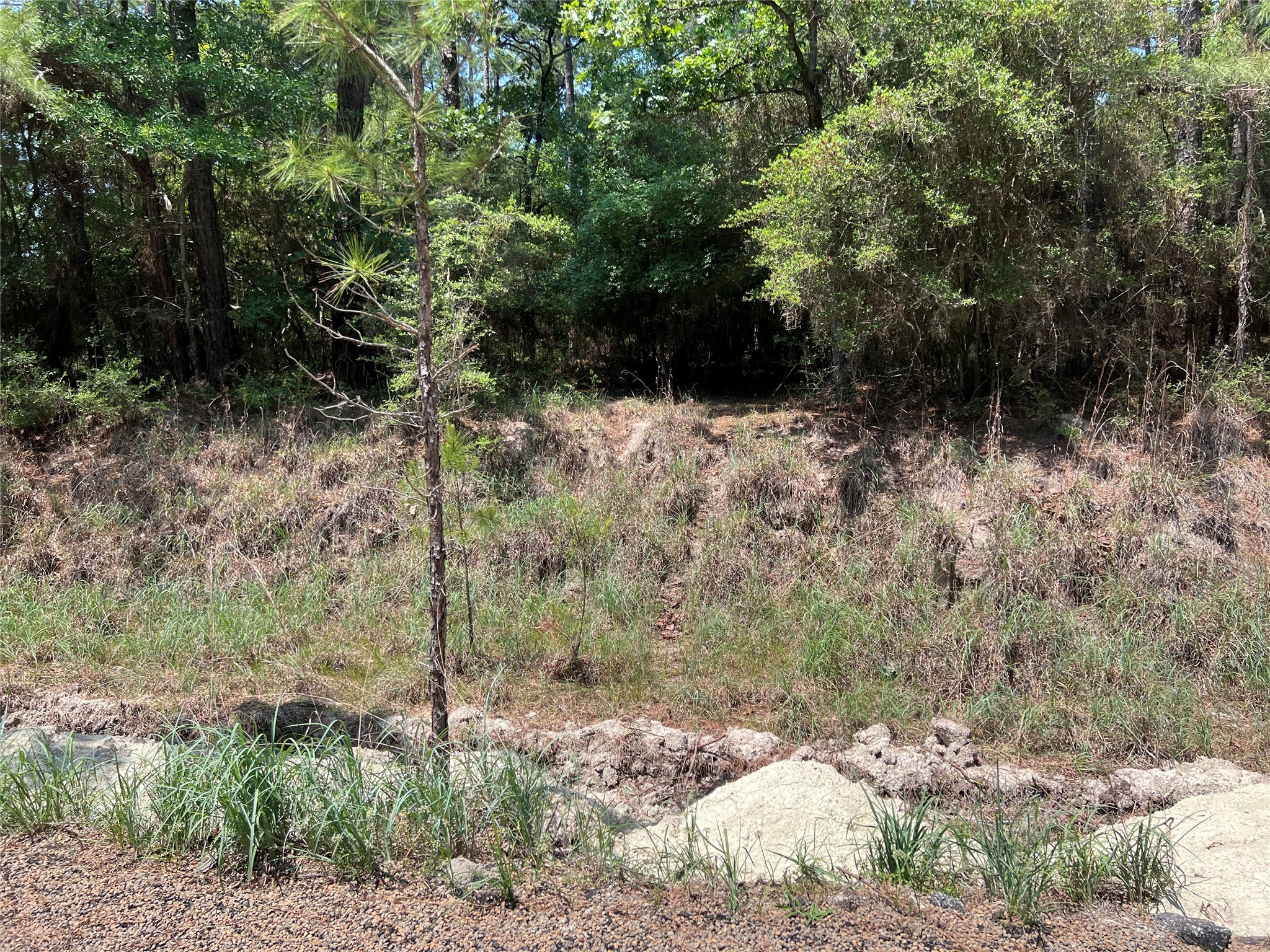 Tbd E Moonlight Drive Property Photo 9