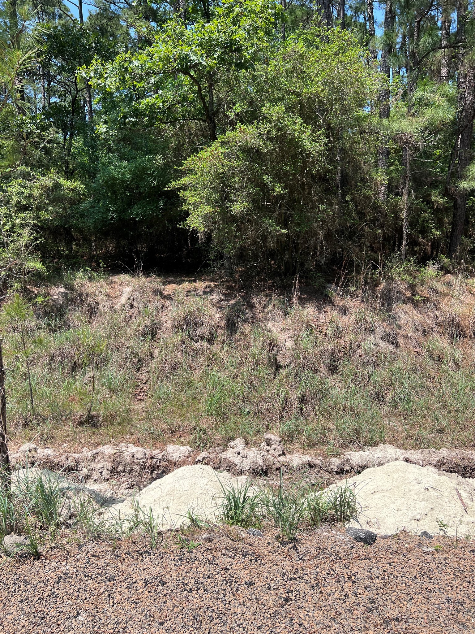 Tbd E Moonlight Drive Property Photo 10