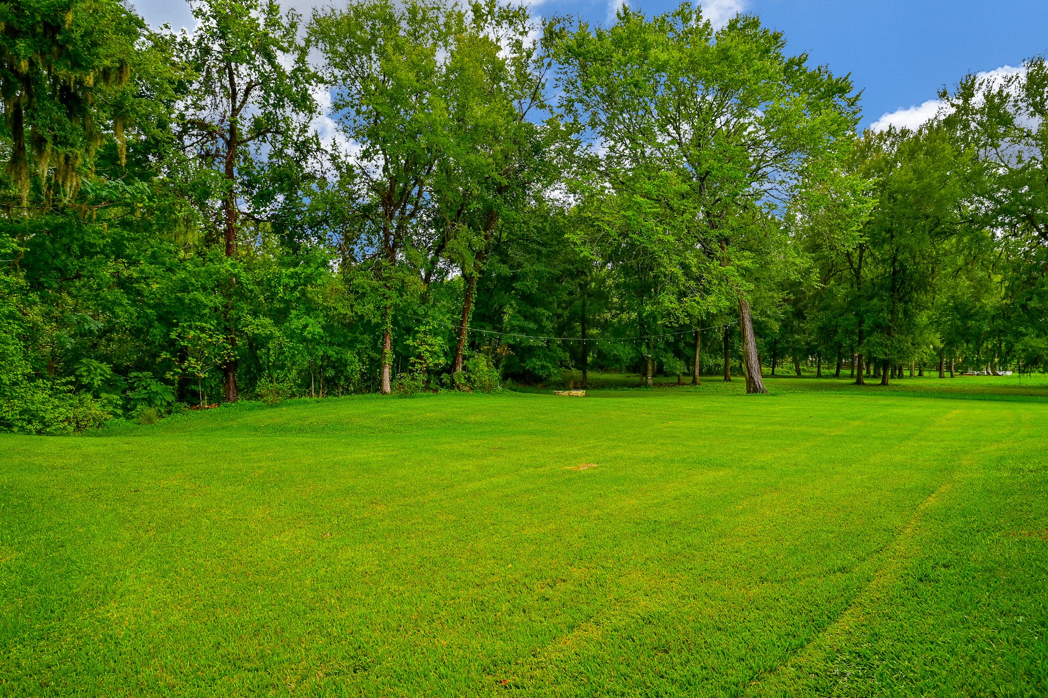 32911 Whitburn Trail Property Photo 38