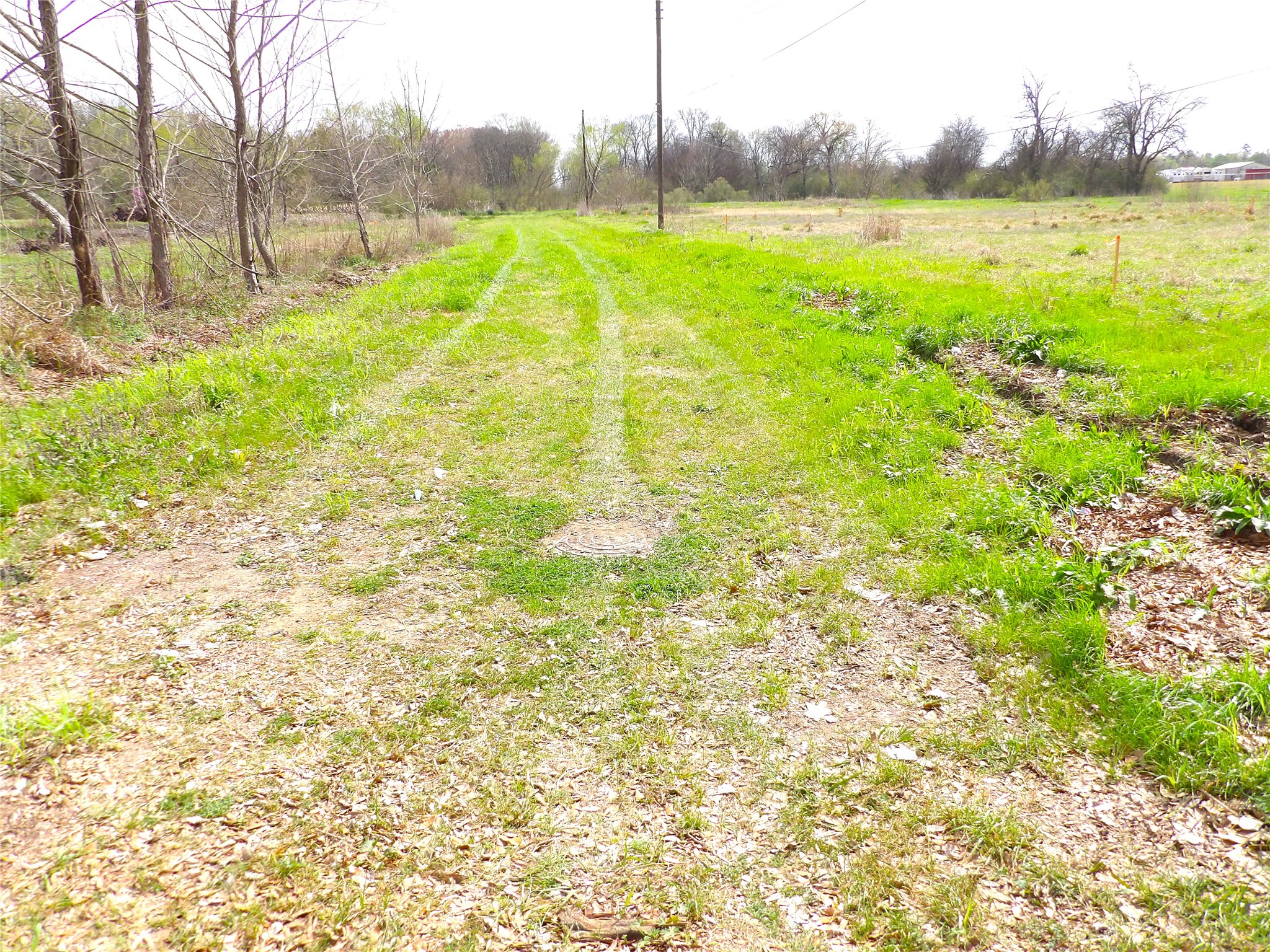 17 Lots Hooks, Forehand, And Mcduff Street Property Photo 5
