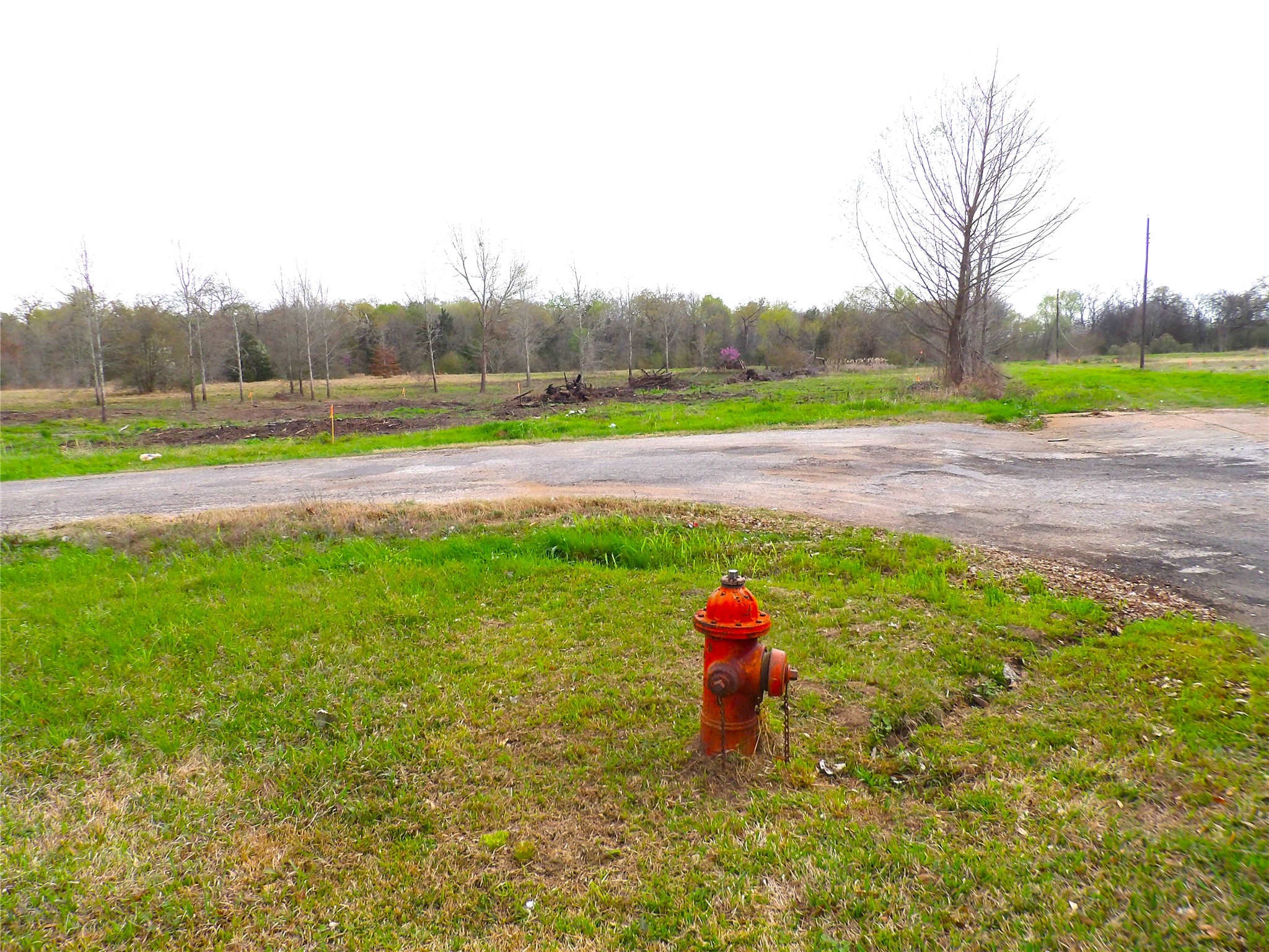 17 Lots Hooks, Forehand, And Mcduff Street Property Photo 10