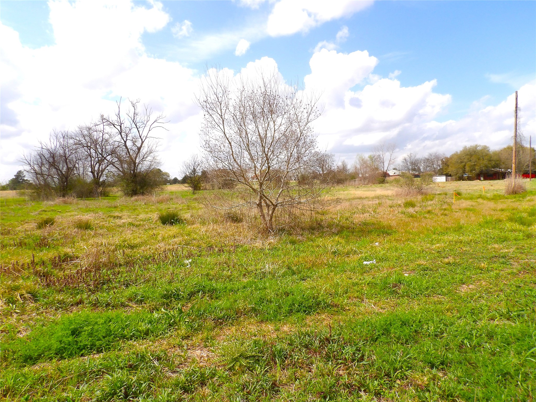 17 Lots Hooks, Forehand, And Mcduff Street Property Photo 16