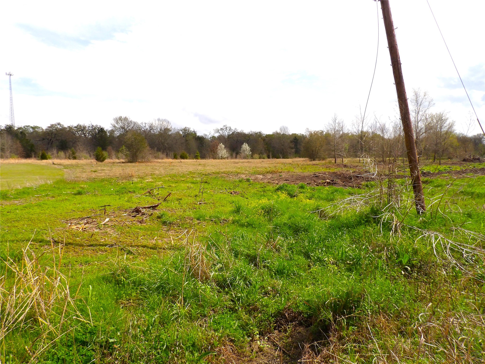 17 Lots Hooks, Forehand, And Mcduff Street Property Photo 25
