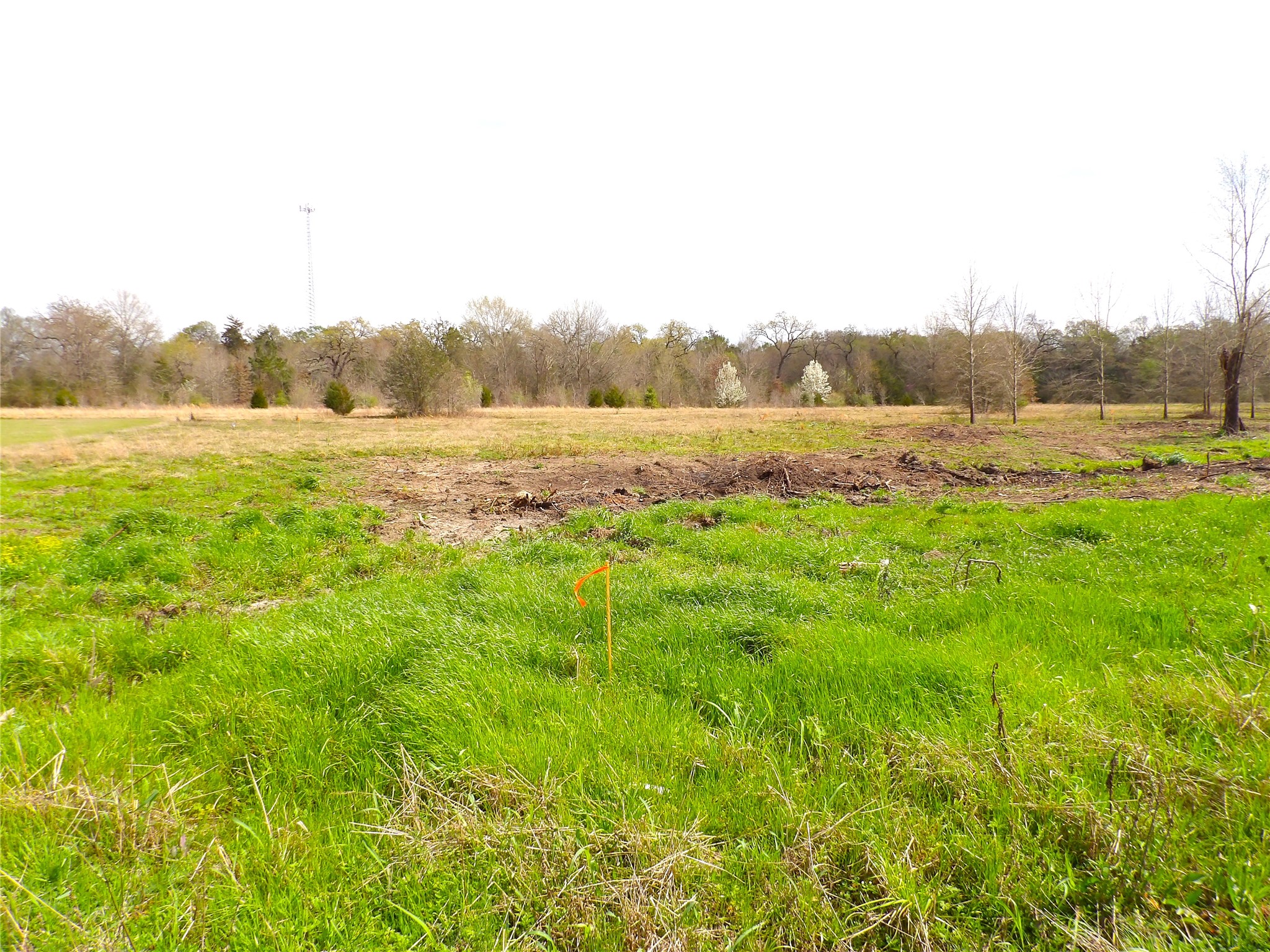 17 Lots Hooks, Forehand, And Mcduff Street Property Photo 27