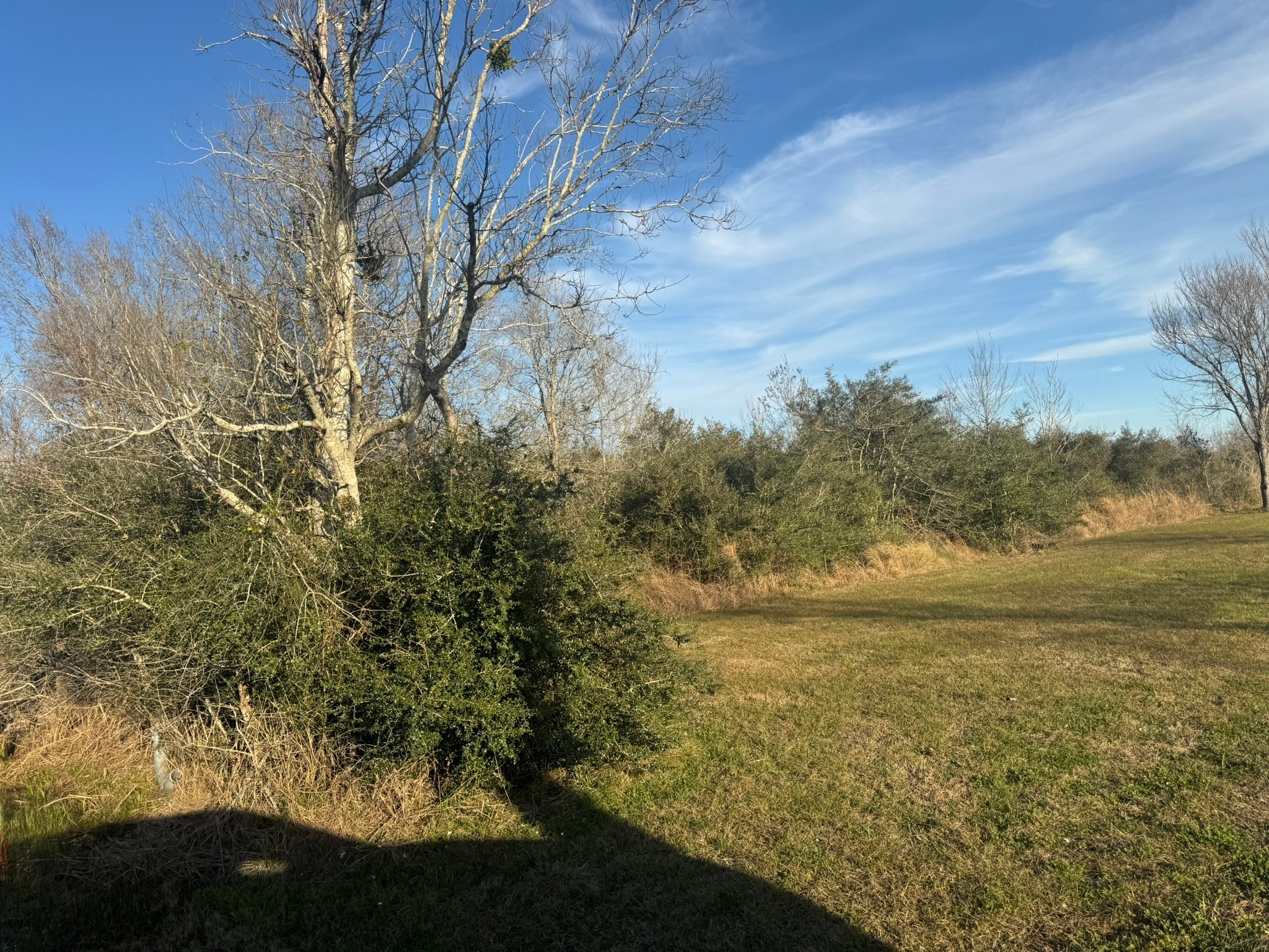 13622 Charlie Roberts Road Property Photo 6