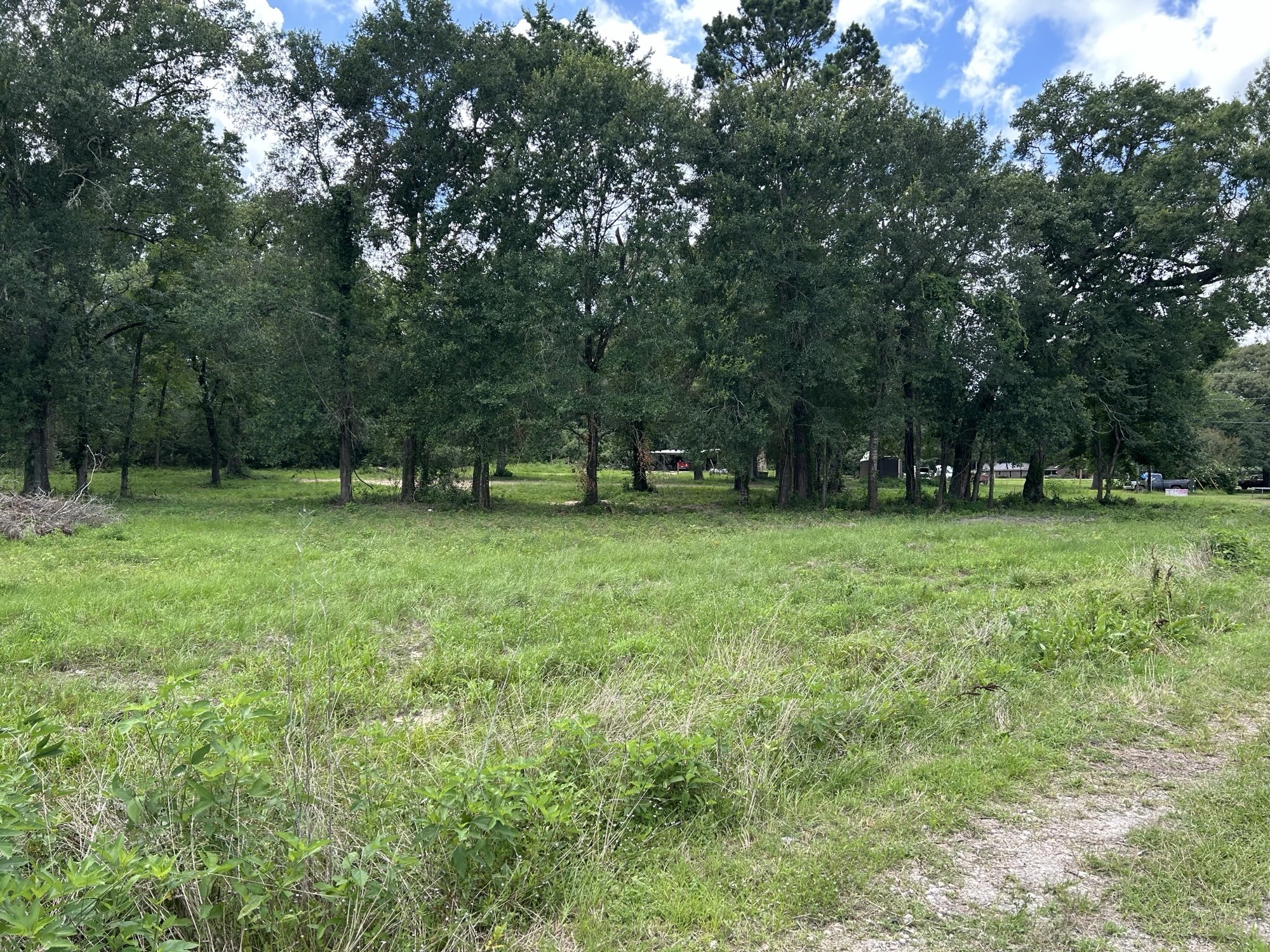 Tbd N Mount Mariah Road Property Photo 1