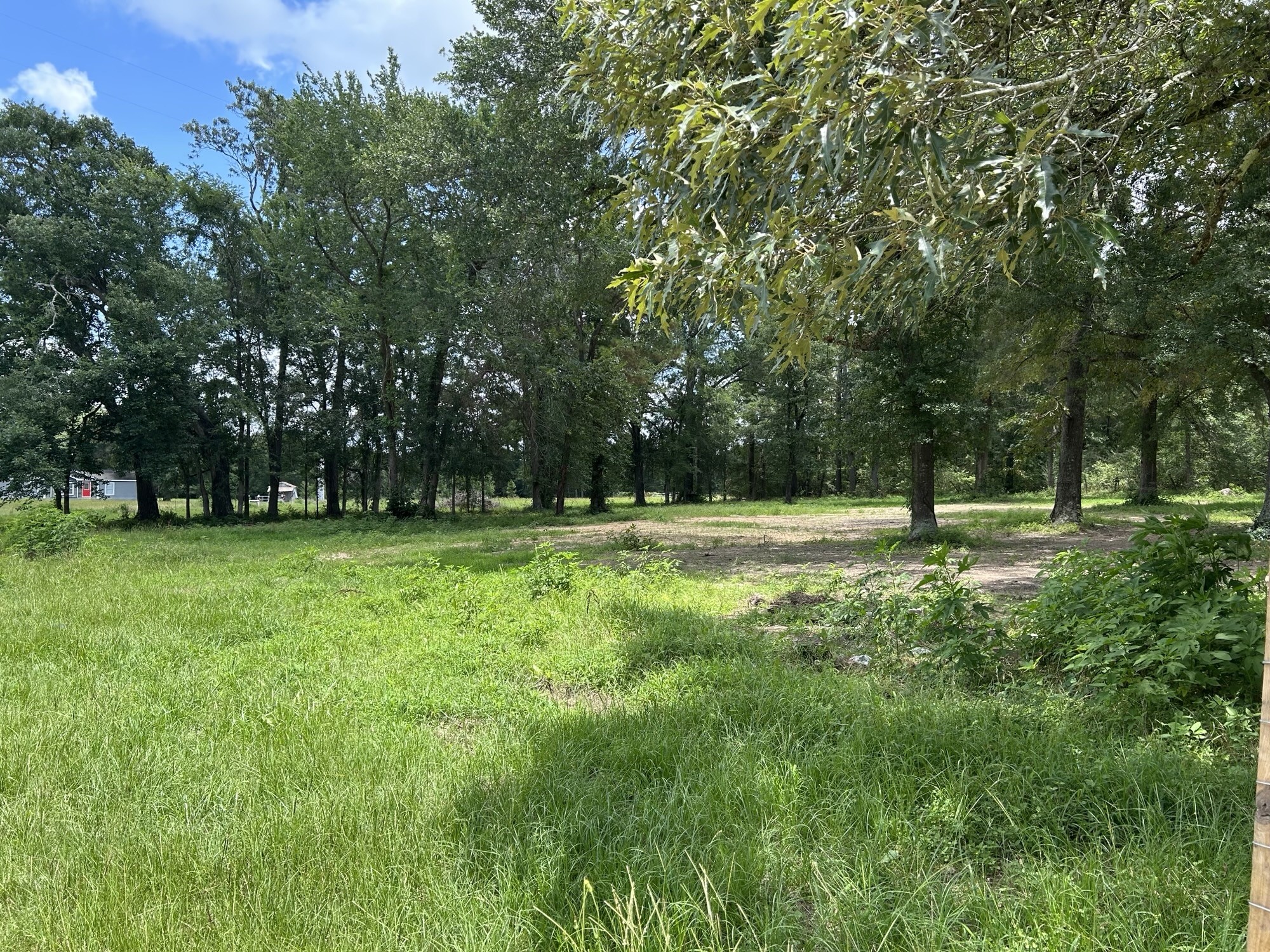 Tbd N Mount Mariah Road Property Photo 2