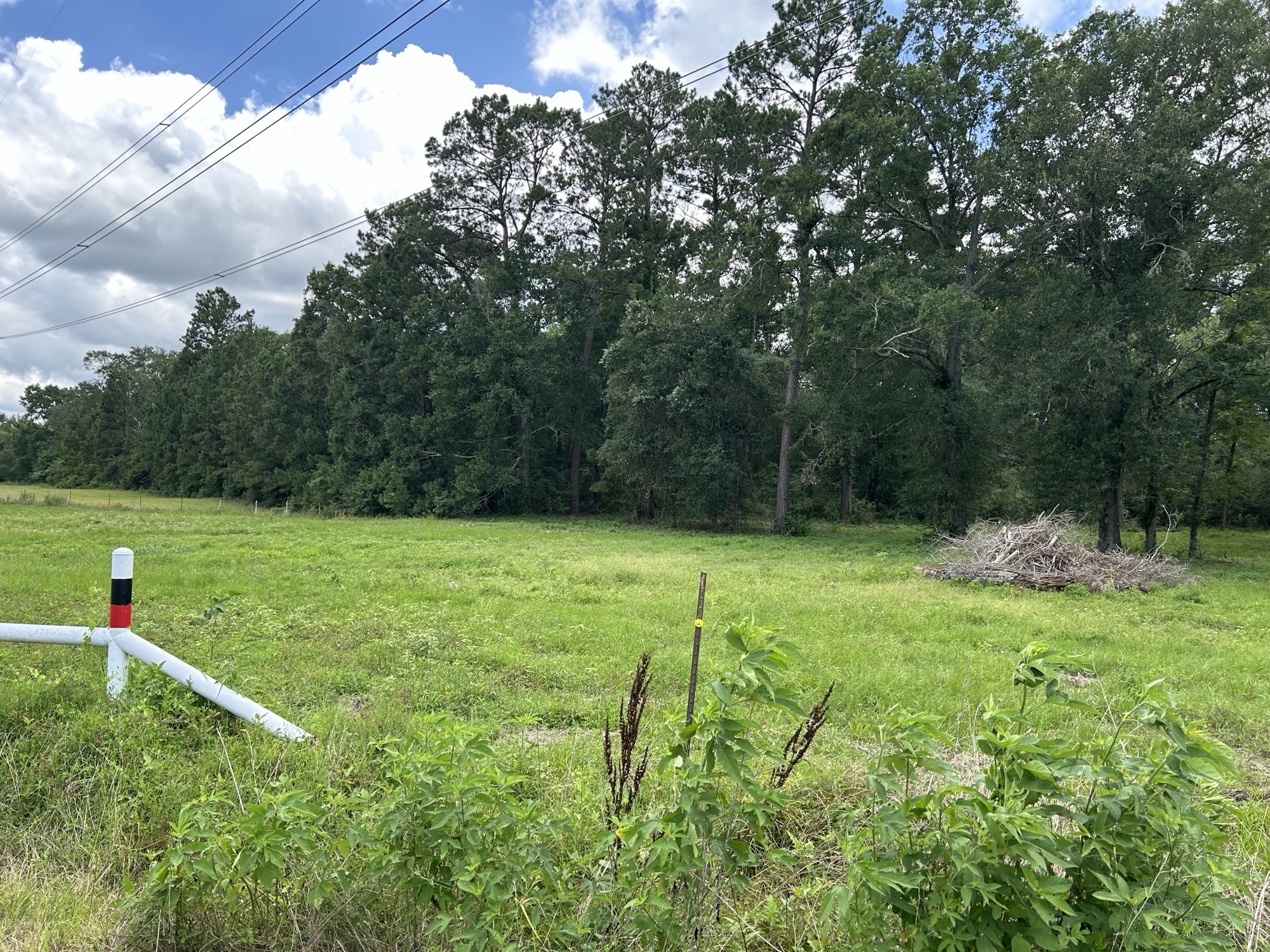 Tbd N Mount Mariah Road Property Photo 4