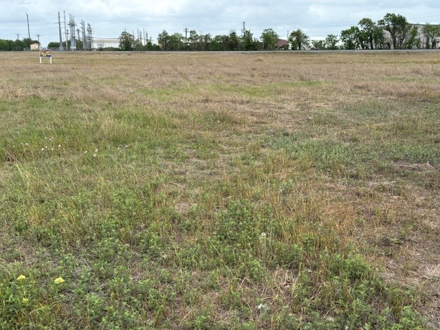 1506 E Jackson Street Property Photo 5