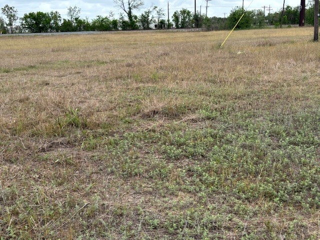 1506 E Jackson Street Property Photo 6