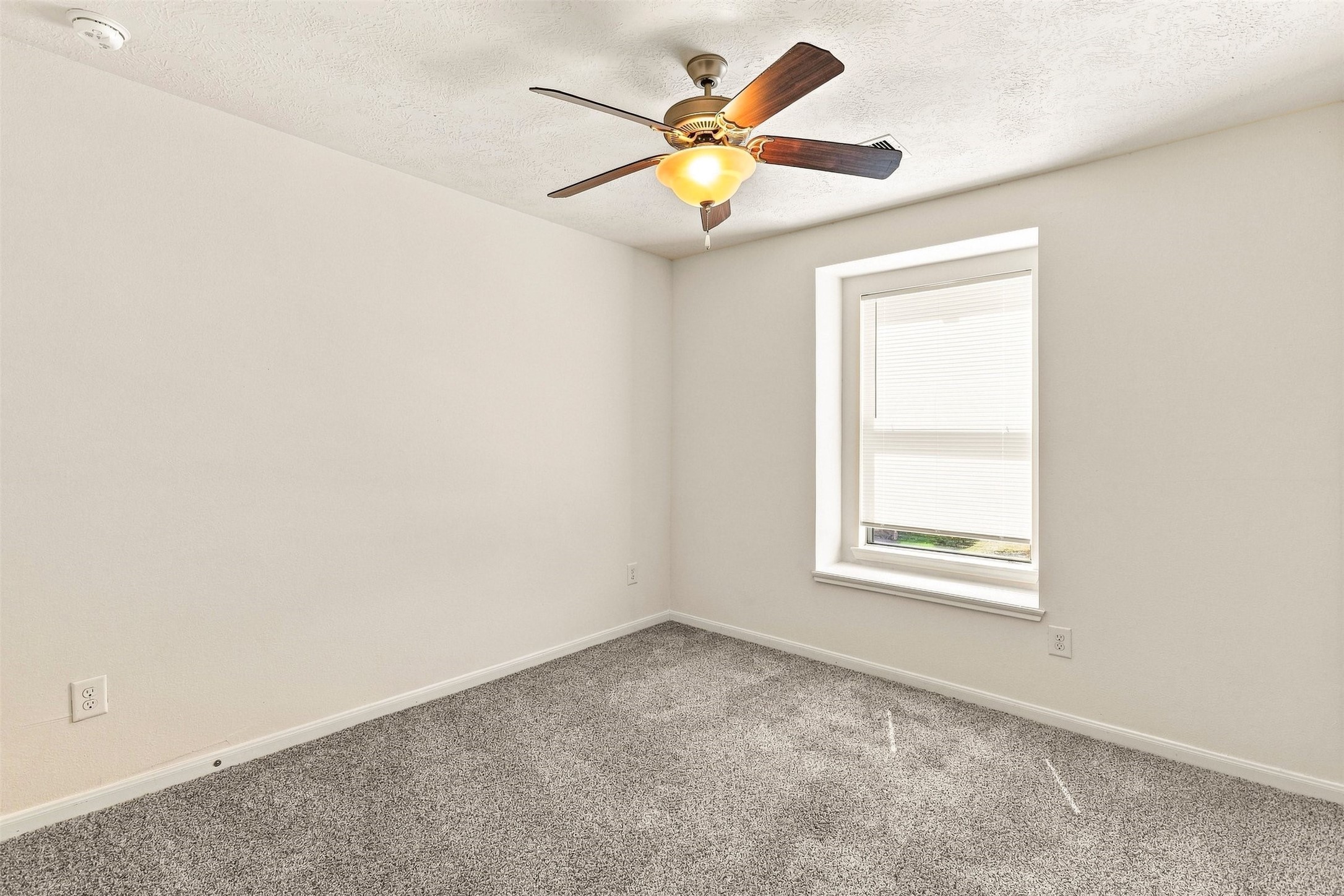 1014 Hummingbird Point Lane Property Photo 23