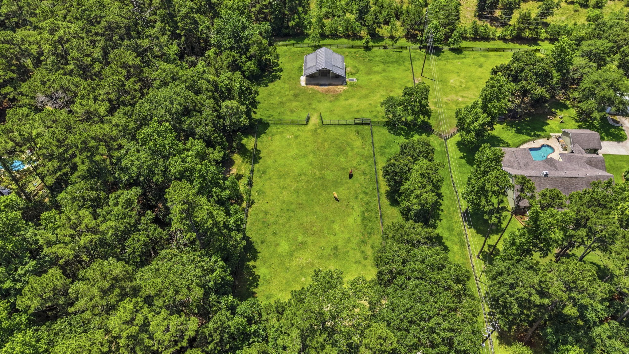 16903 Mustang Trail Drive Property Photo 47