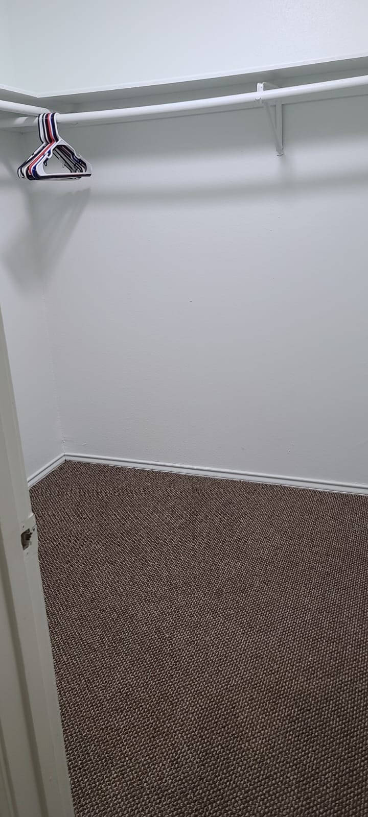 1616 Good Day Drive Property Photo 21