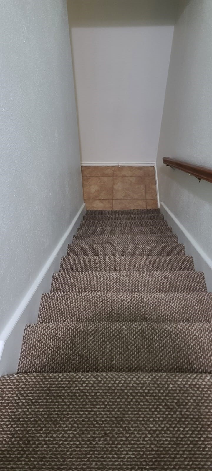 1616 Good Day Drive Property Photo 22