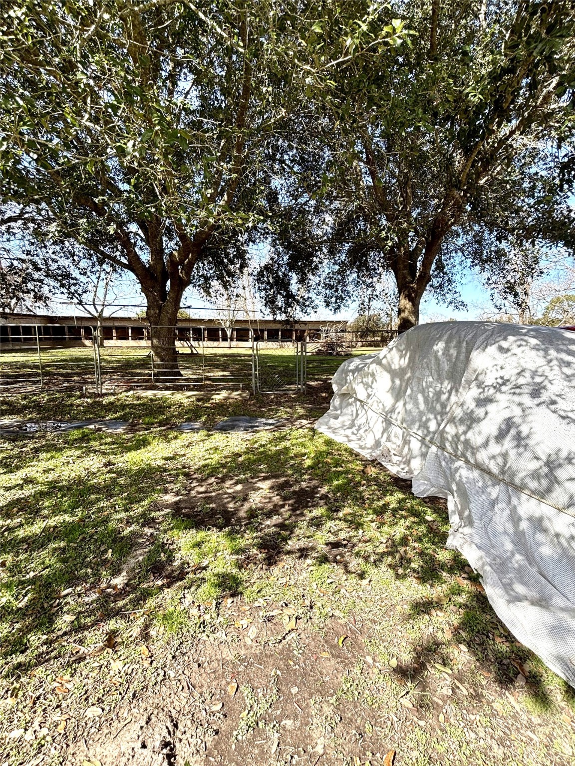 1083 County Road 147 Property Photo 16