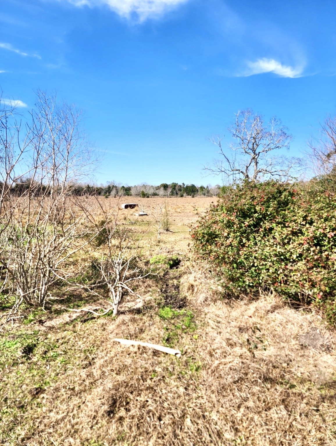 1083 County Road 147 Property Photo 35