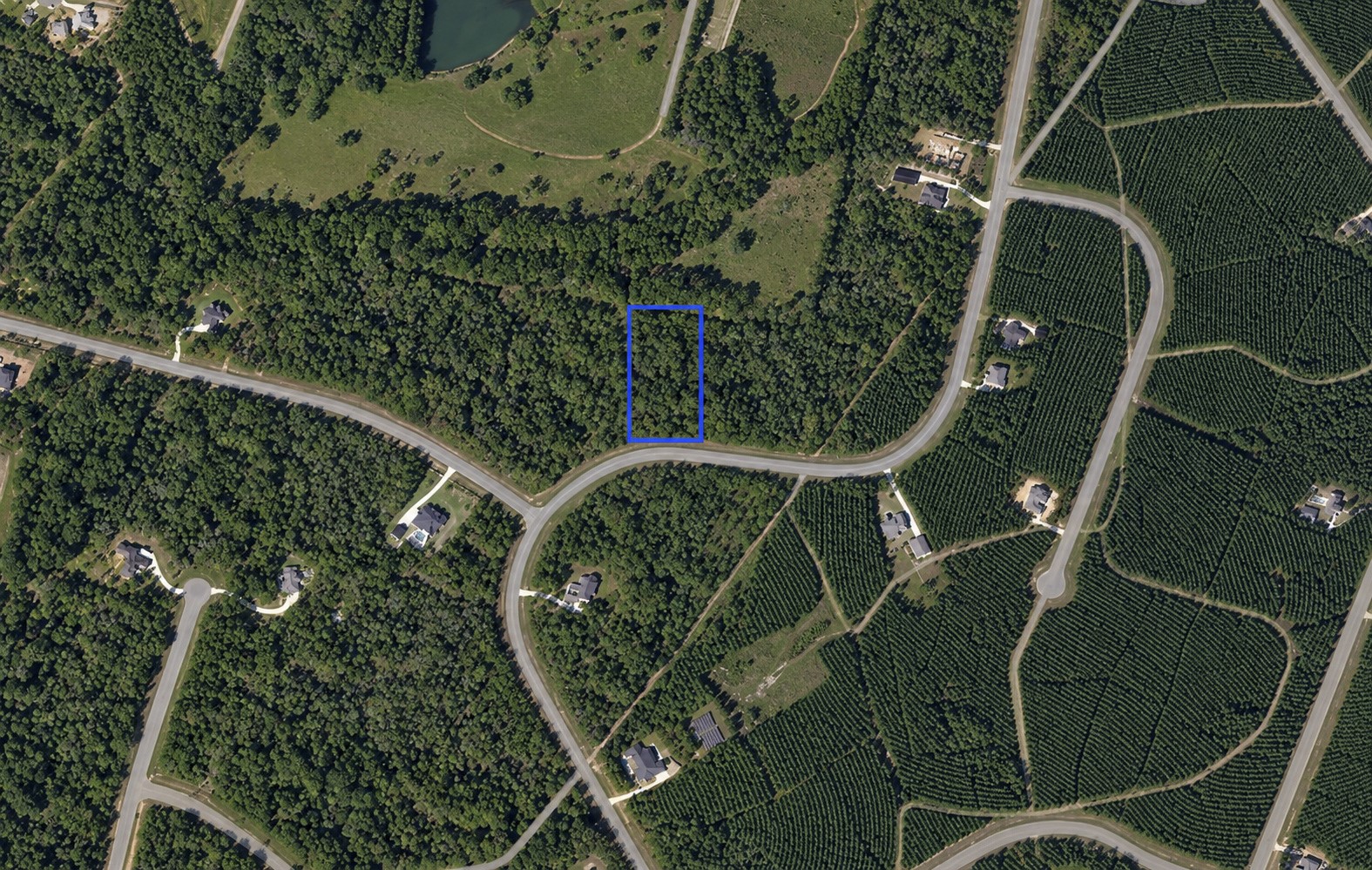 11756 Grand North Road Property Photo 4