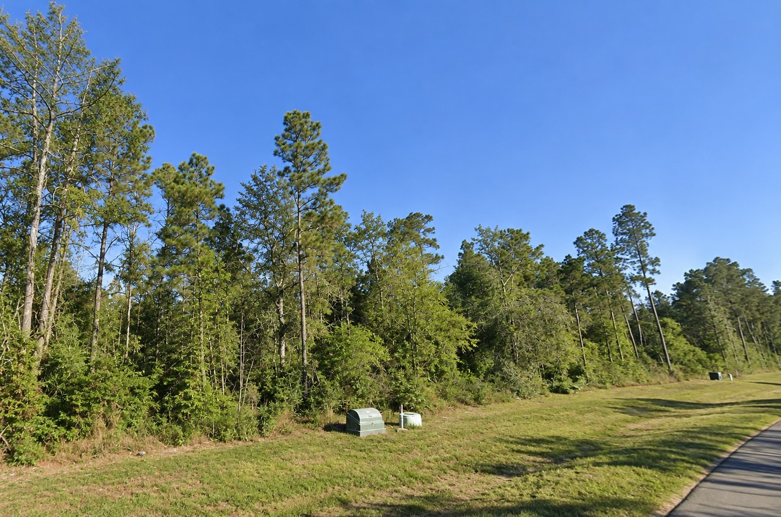 11756 Grand North Road Property Photo 5