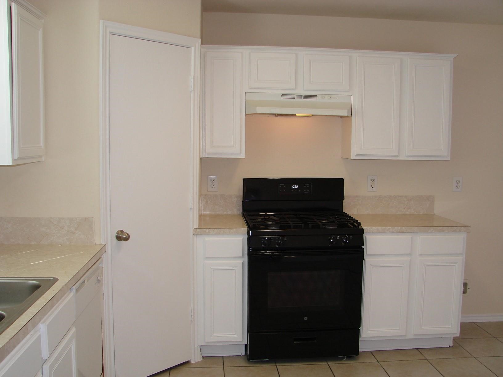 4607 Evergreen Meadow Court Property Photo 12