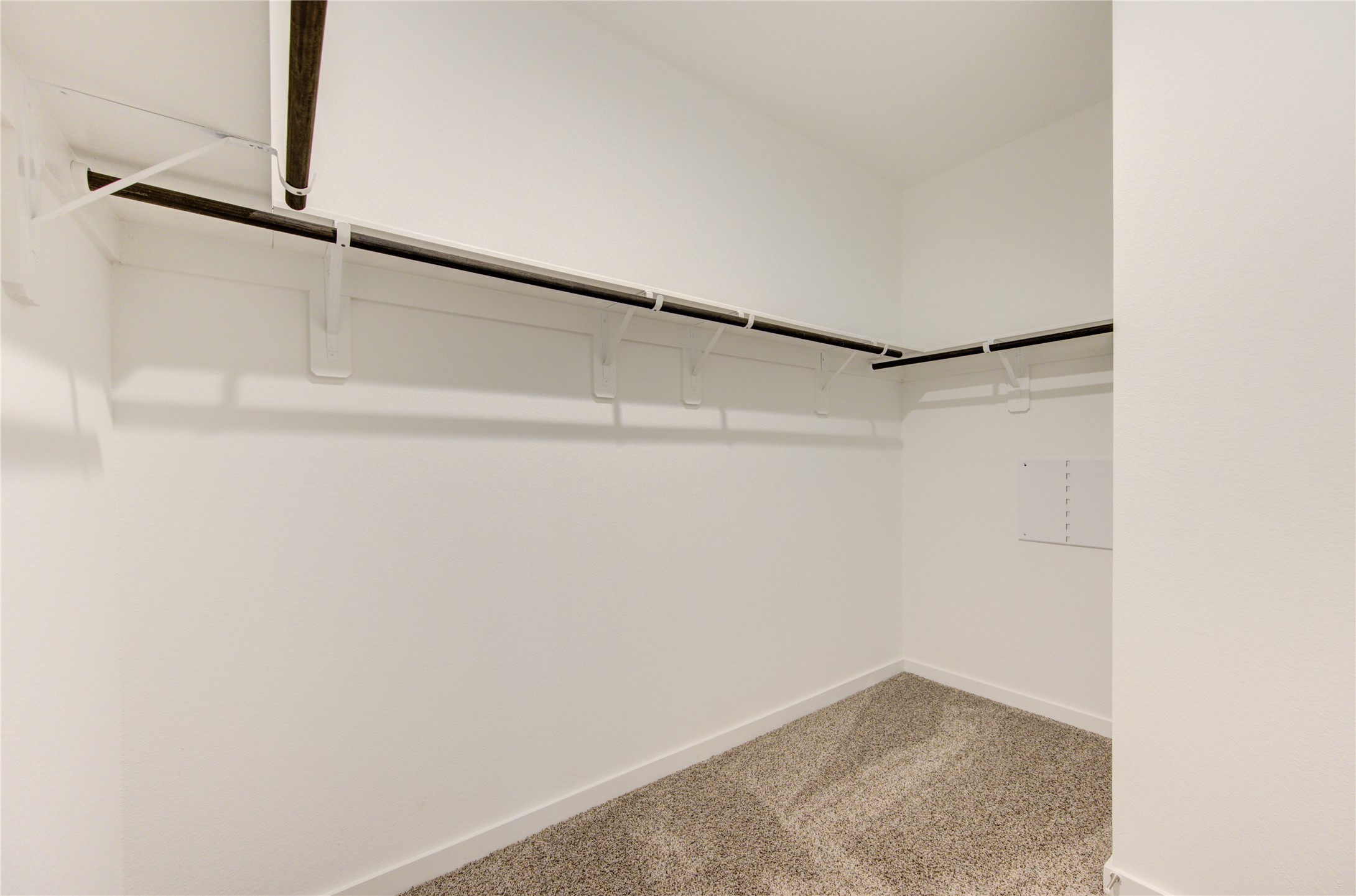 30222 Belgrade Park Lane Property Photo 34
