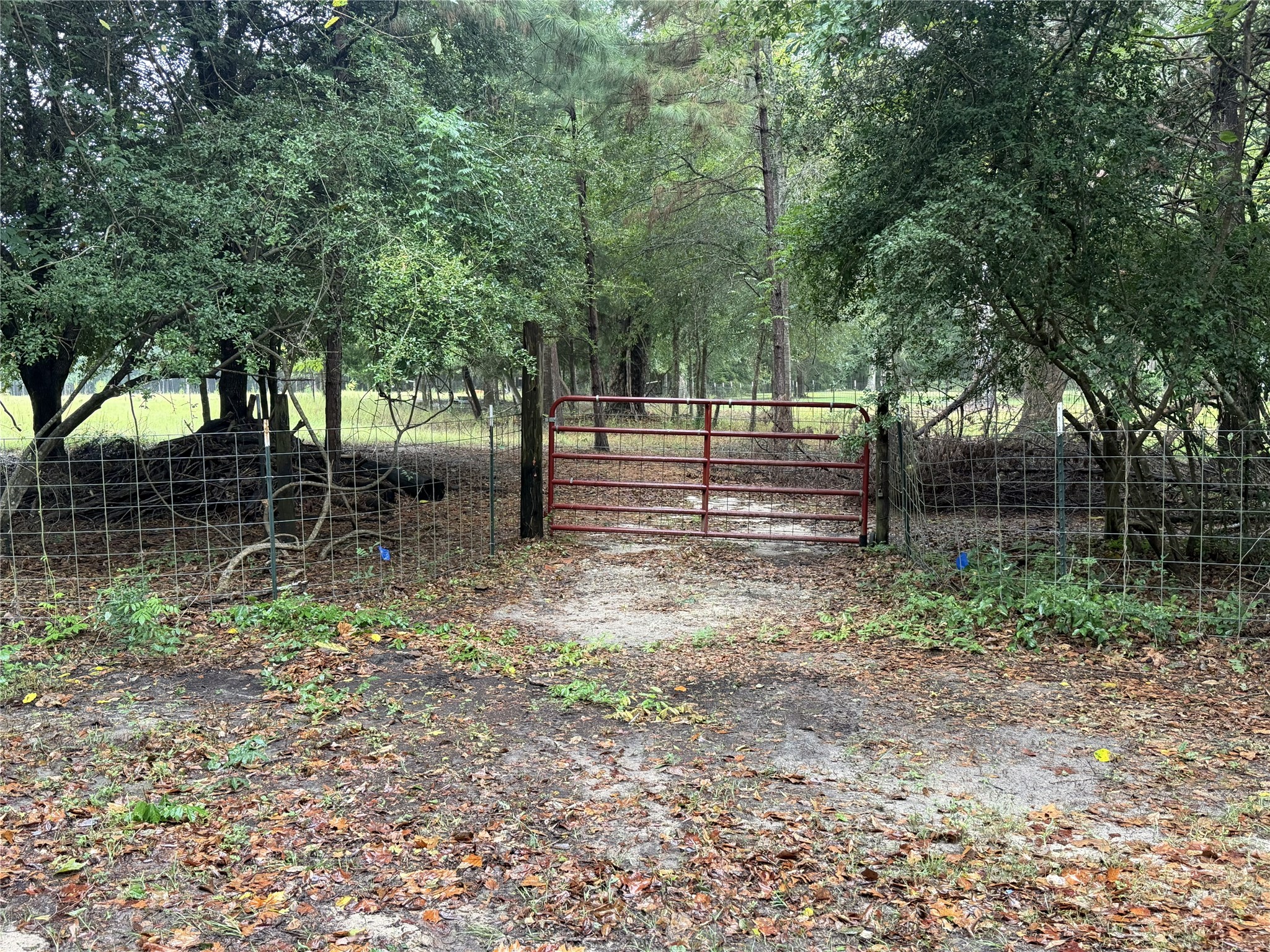1340 County Road 4375 Property Photo 1