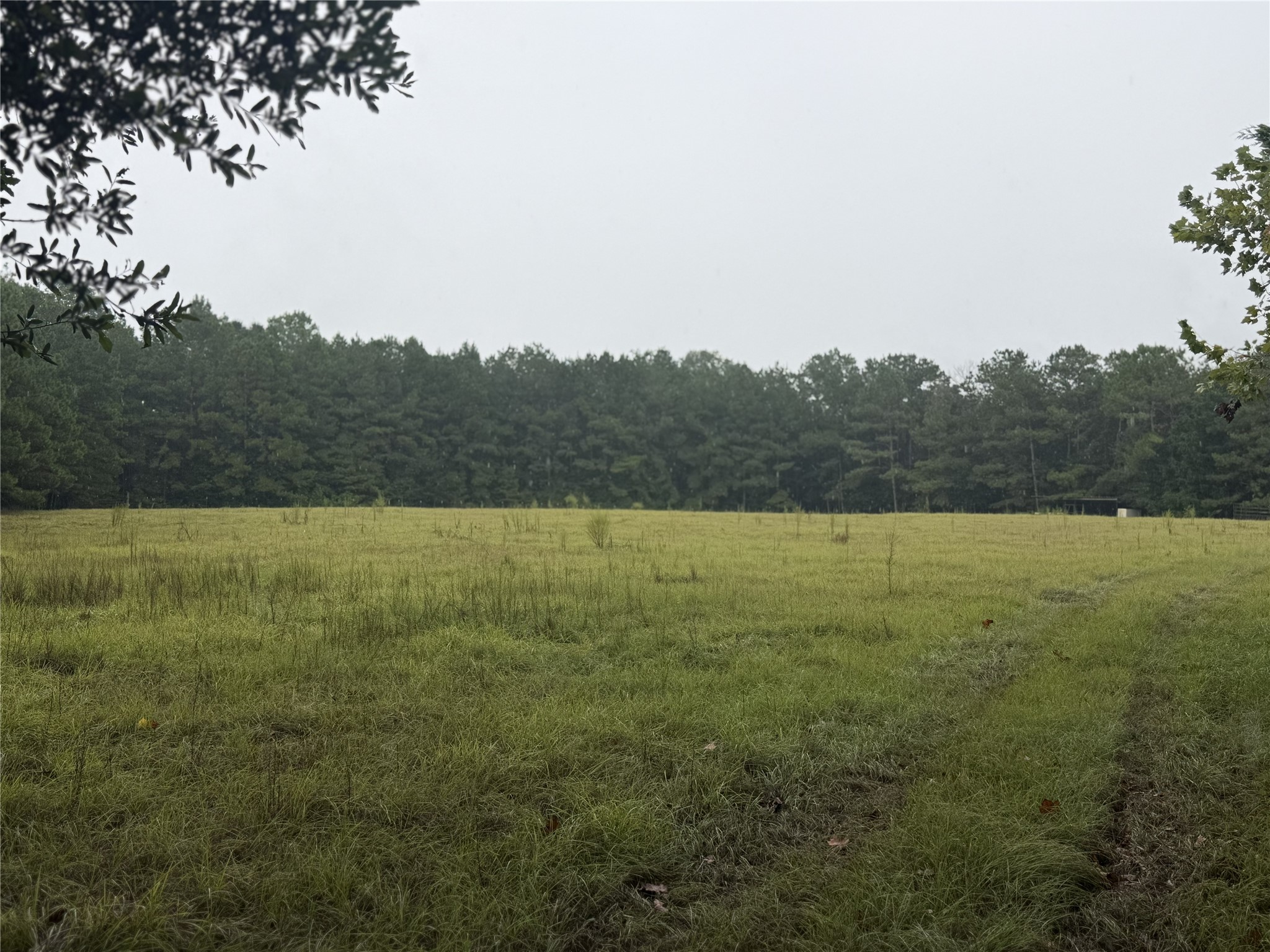 1340 County Road 4375 Property Photo 2