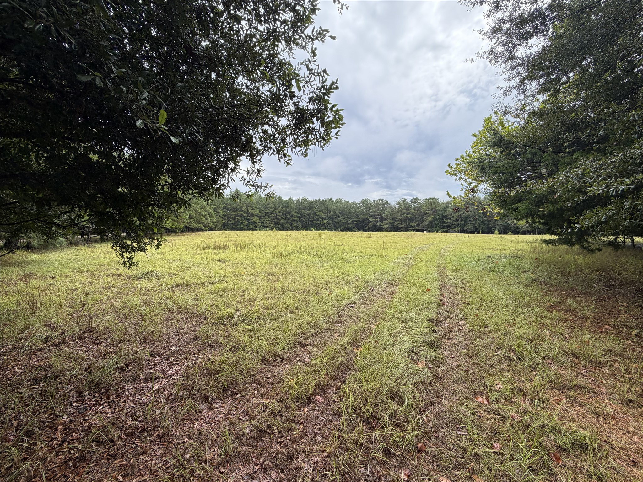 1340 County Road 4375 Property Photo 4