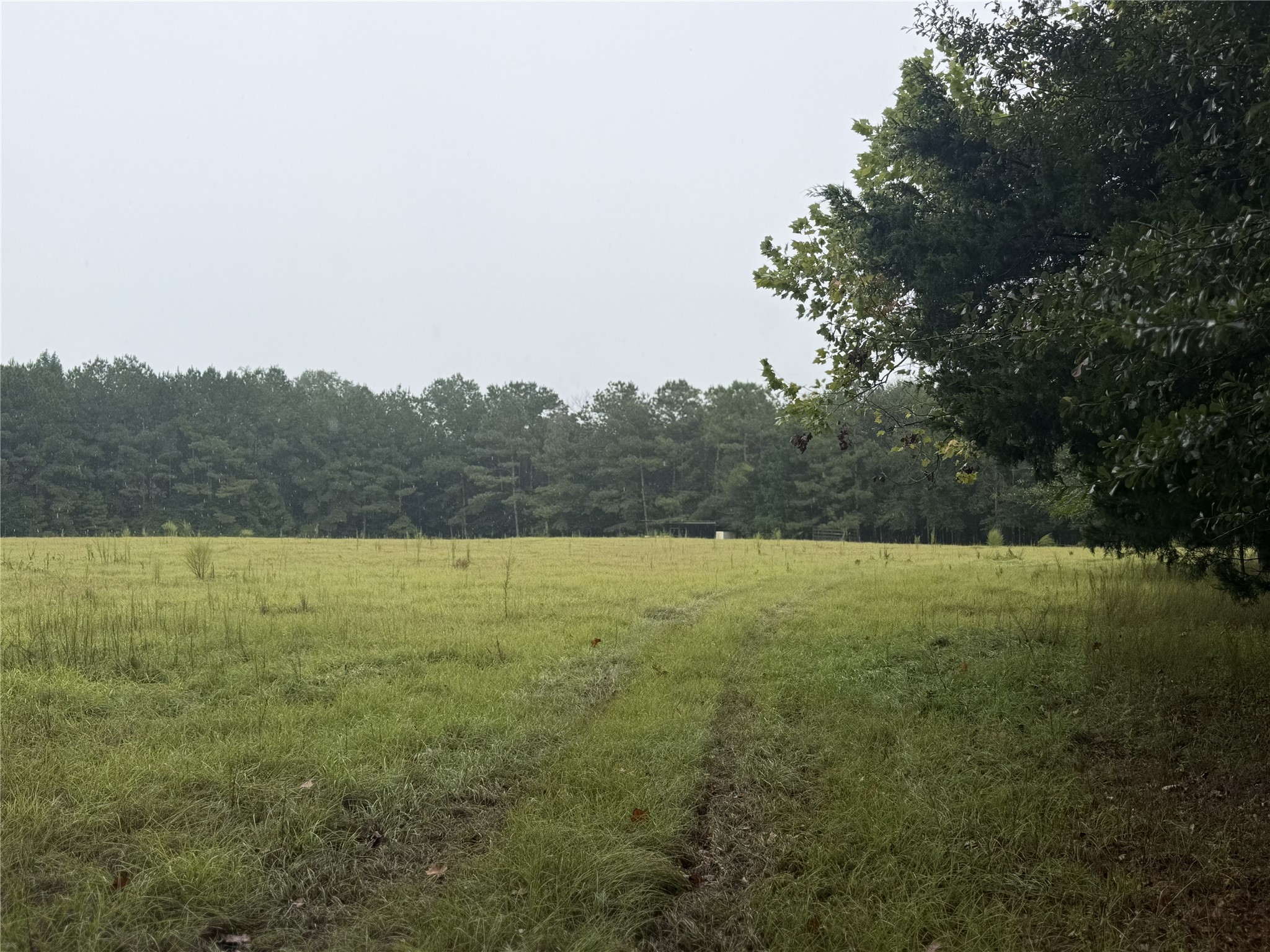 1340 County Road 4375 Property Photo 7