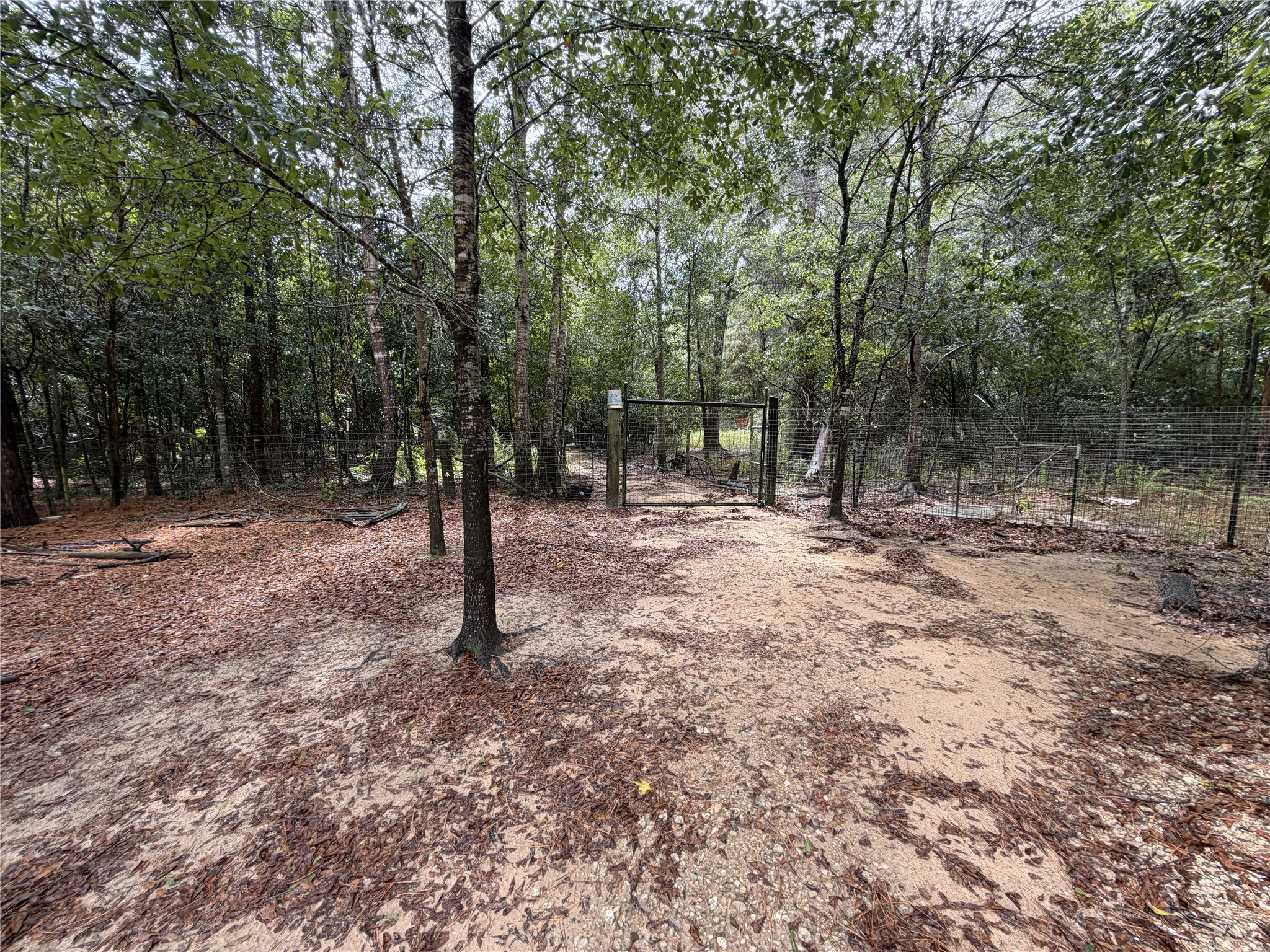 1340 County Road 4375 Property Photo 8