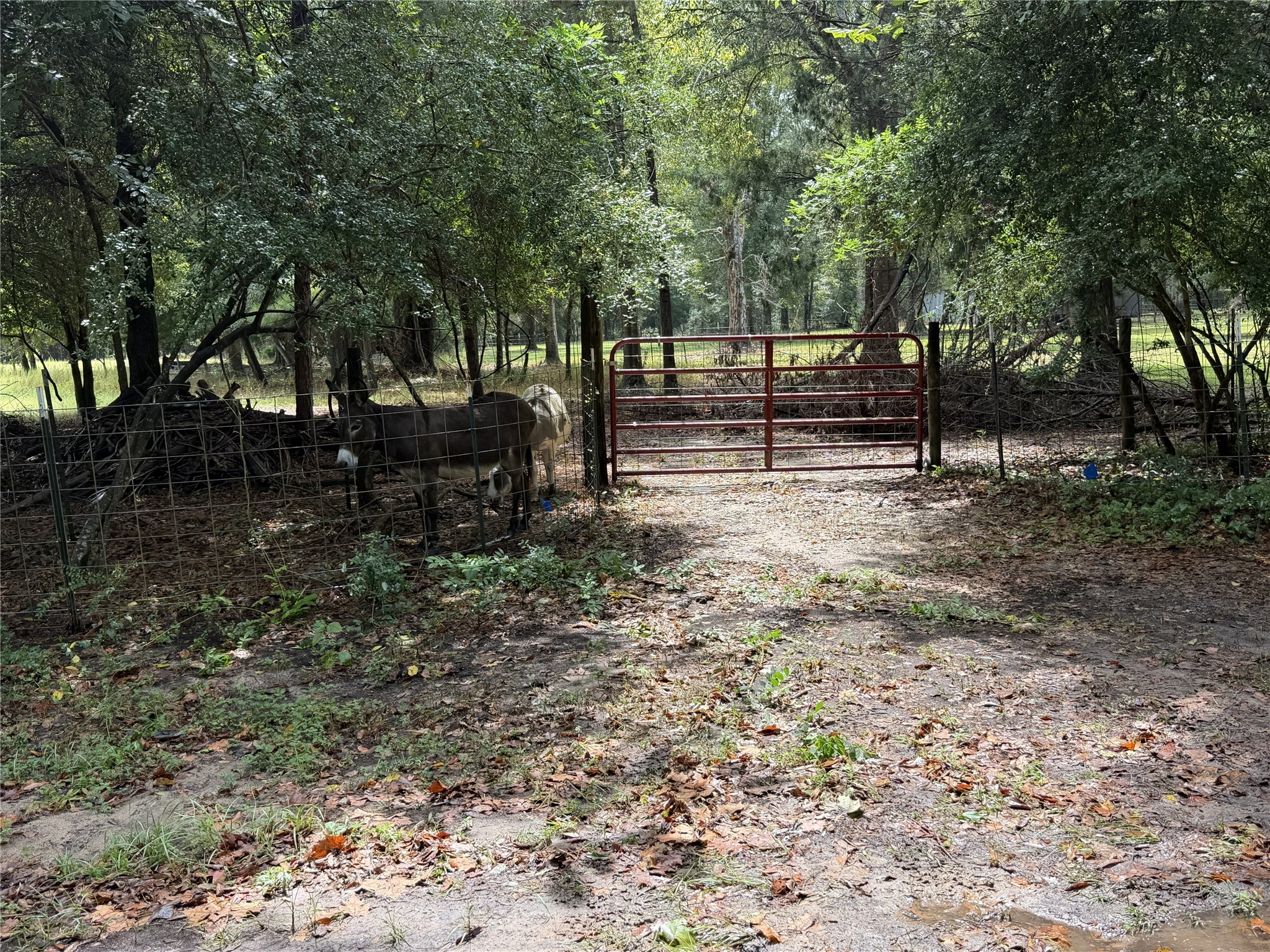 1340 County Road 4375 Property Photo 11