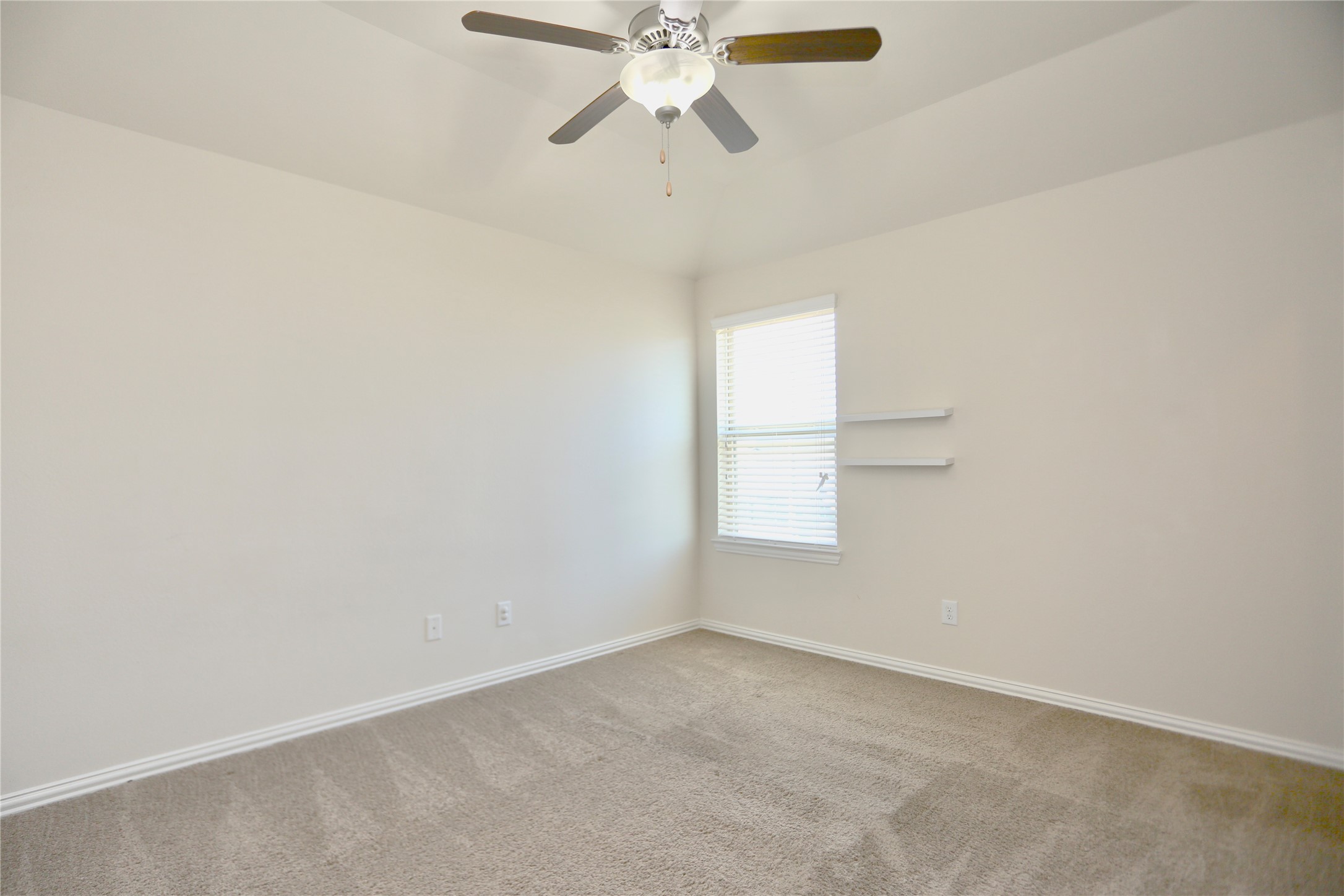 24339 Goodwin Drive Property Photo 23