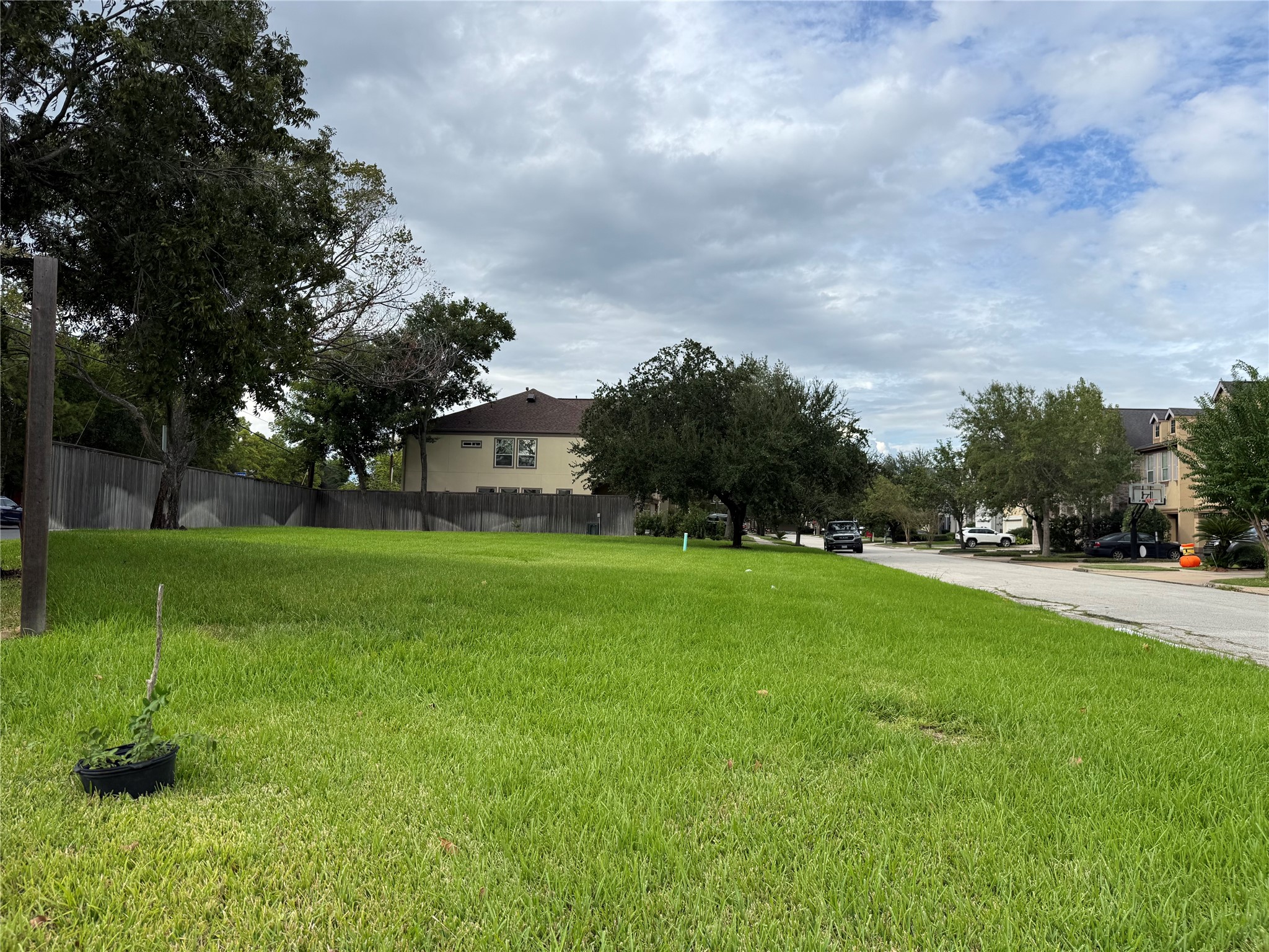 136 White Drive Property Photo 3