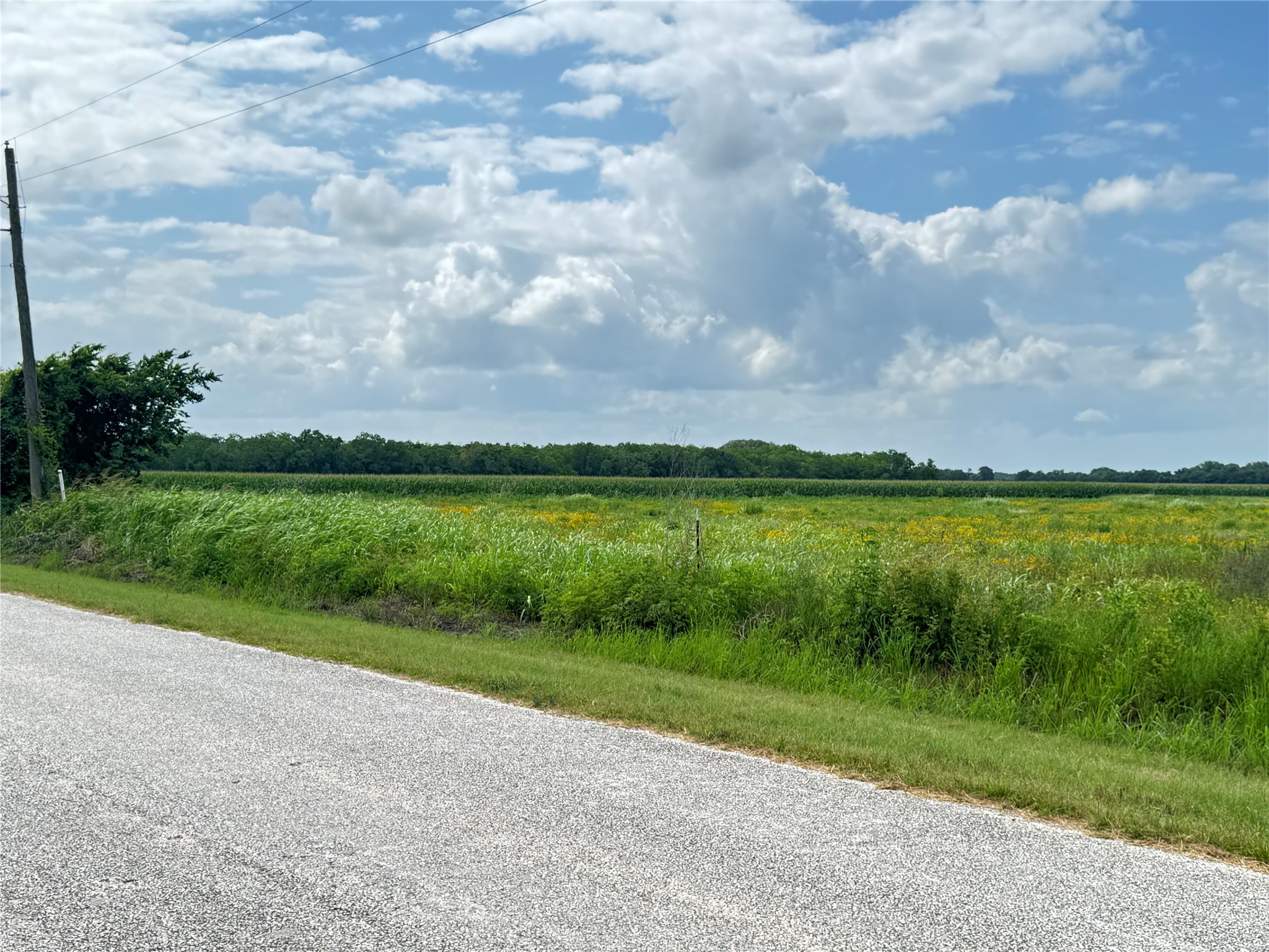 Tbd Beard Road Property Photo 1