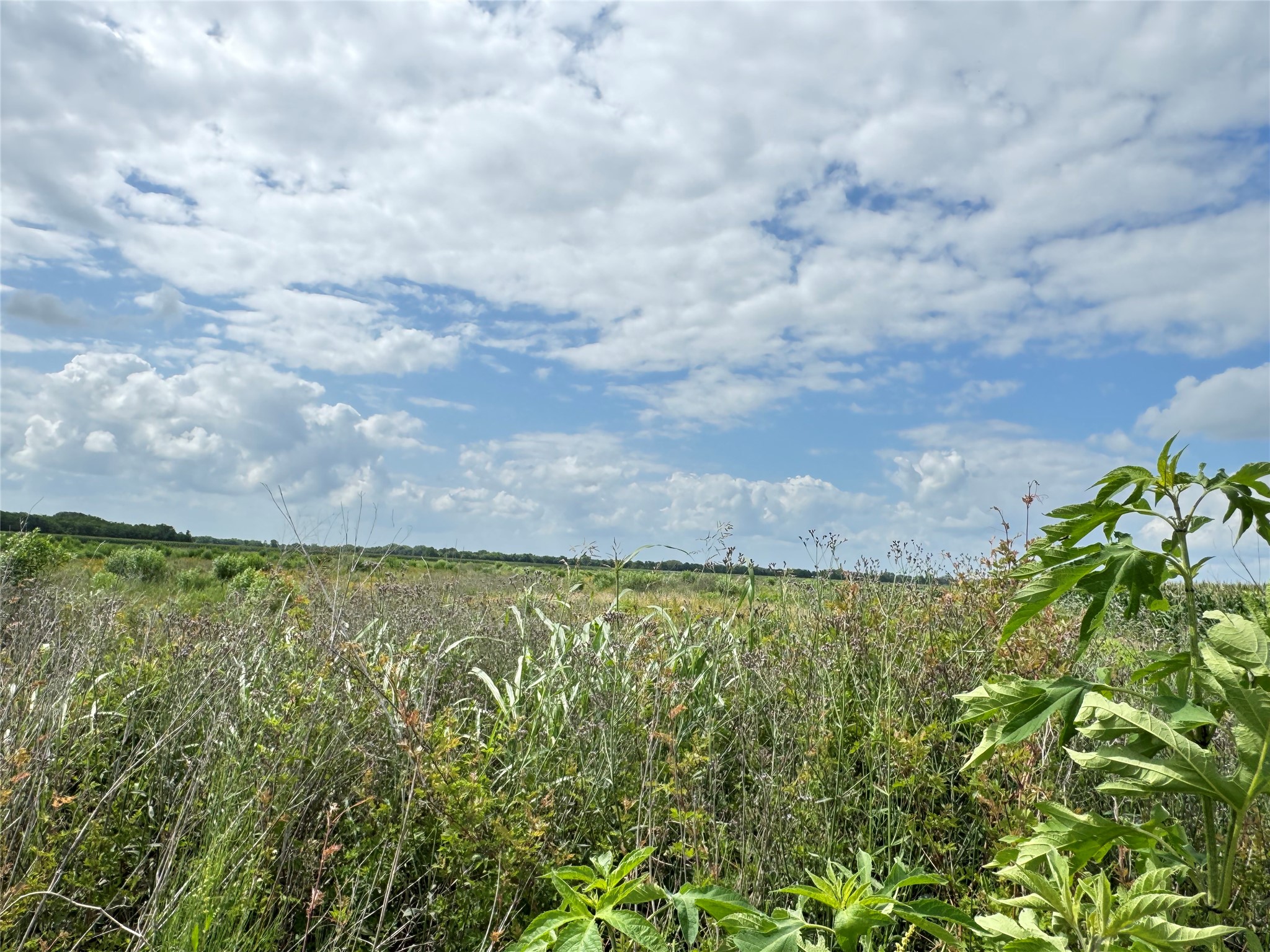 Tbd Beard Road Property Photo 3