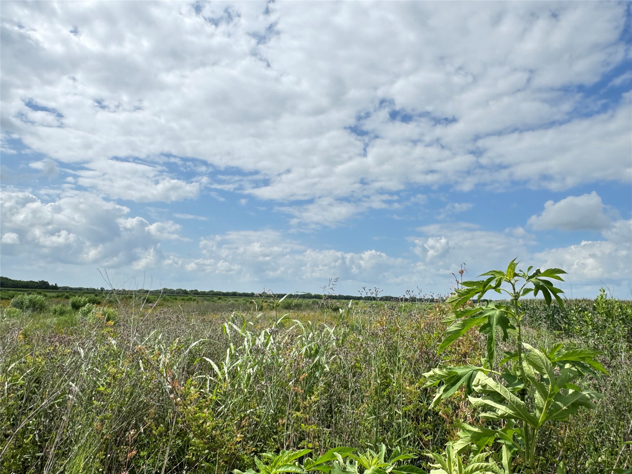 Tbd Beard Road Property Photo 6