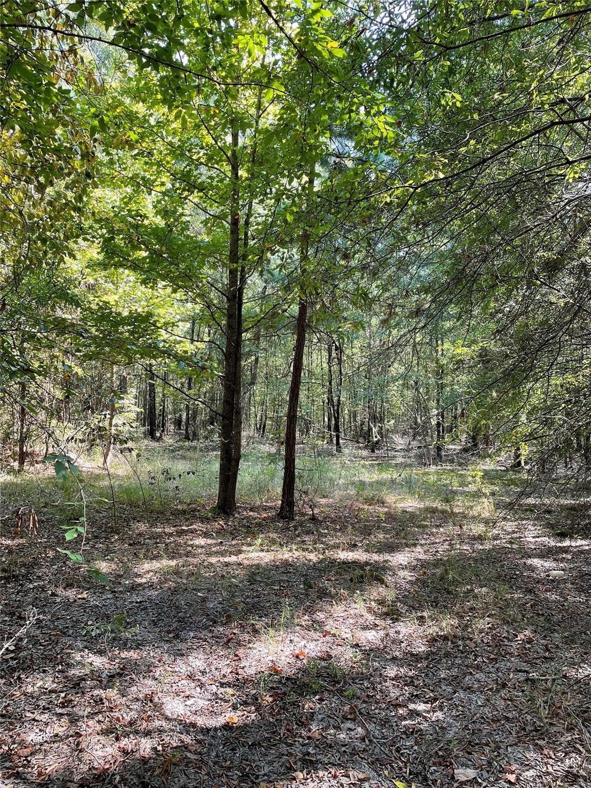 T123 Cr-3011 Property Photo 1