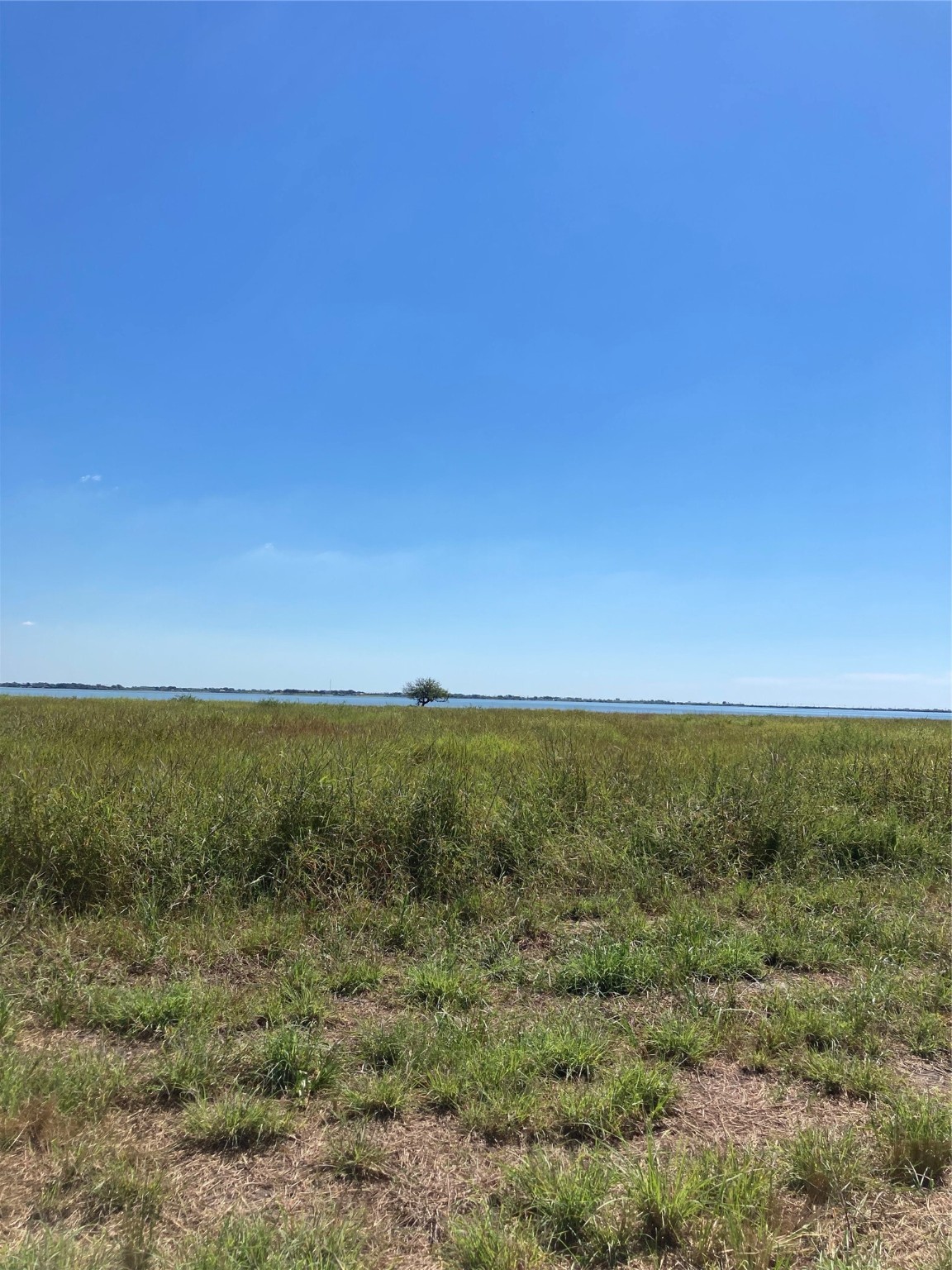 28 North Driftwood Shores Property Photo 11