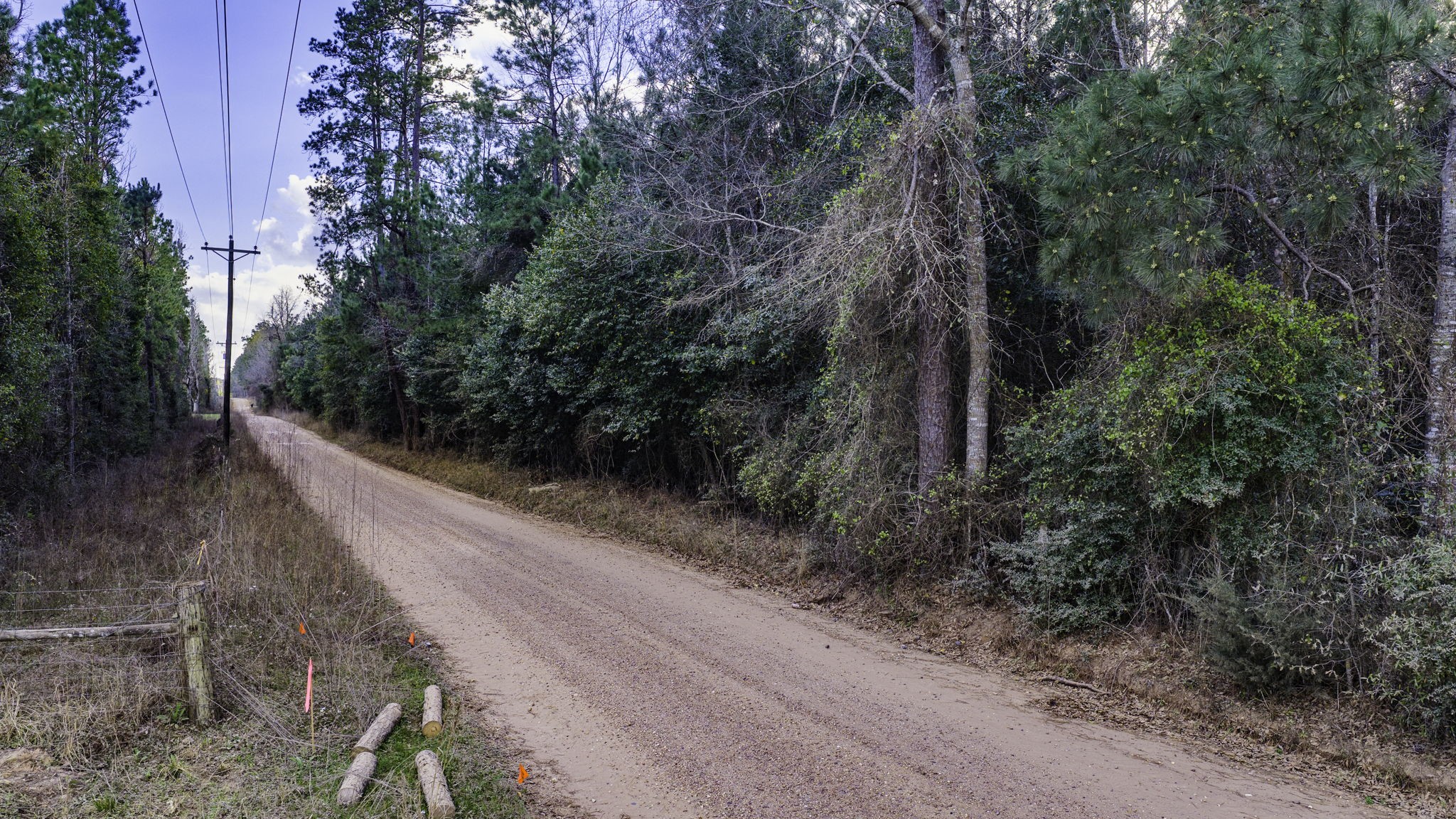 Tract 4-b Holly Grove Road Property Photo 3