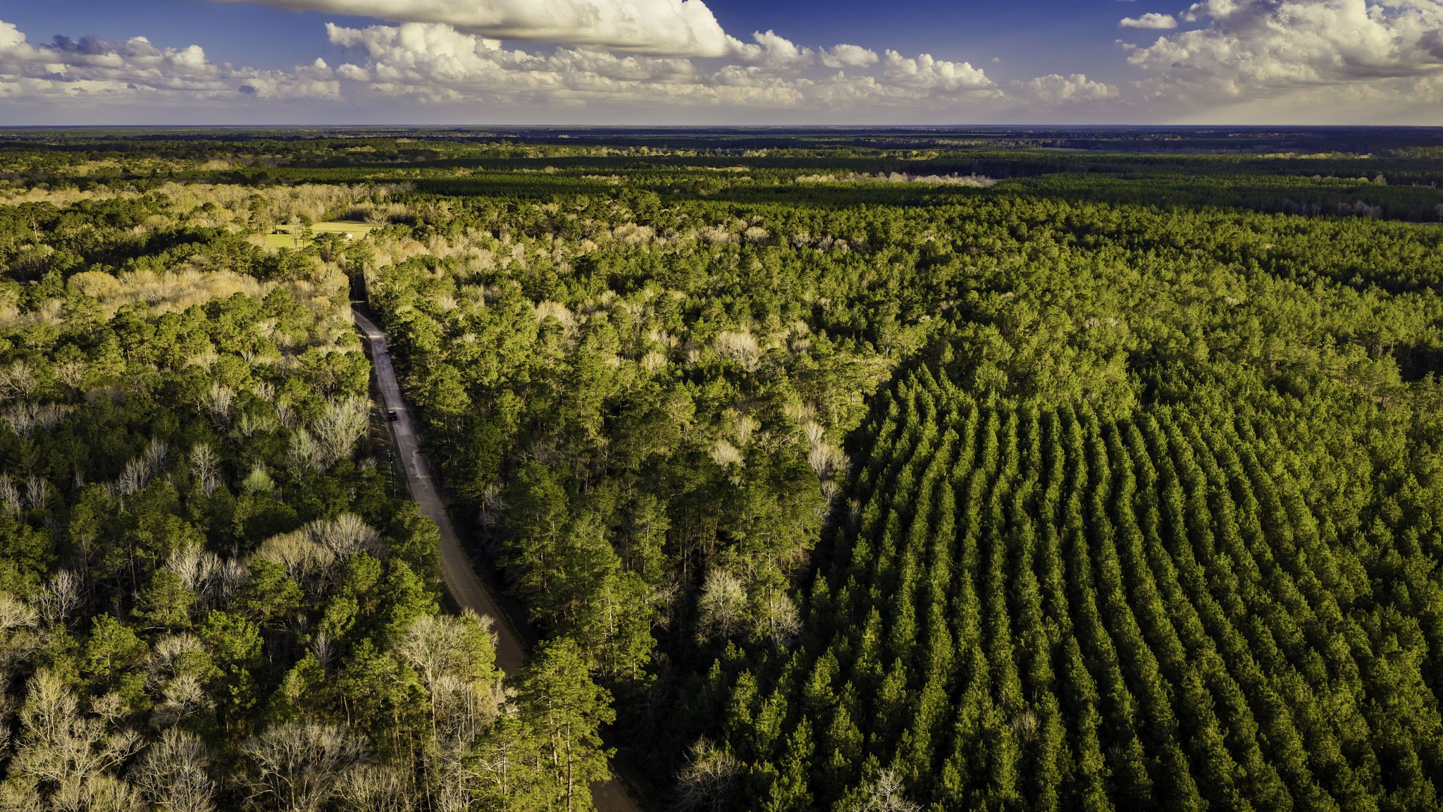 Tract 4-b Holly Grove Road Property Photo 18