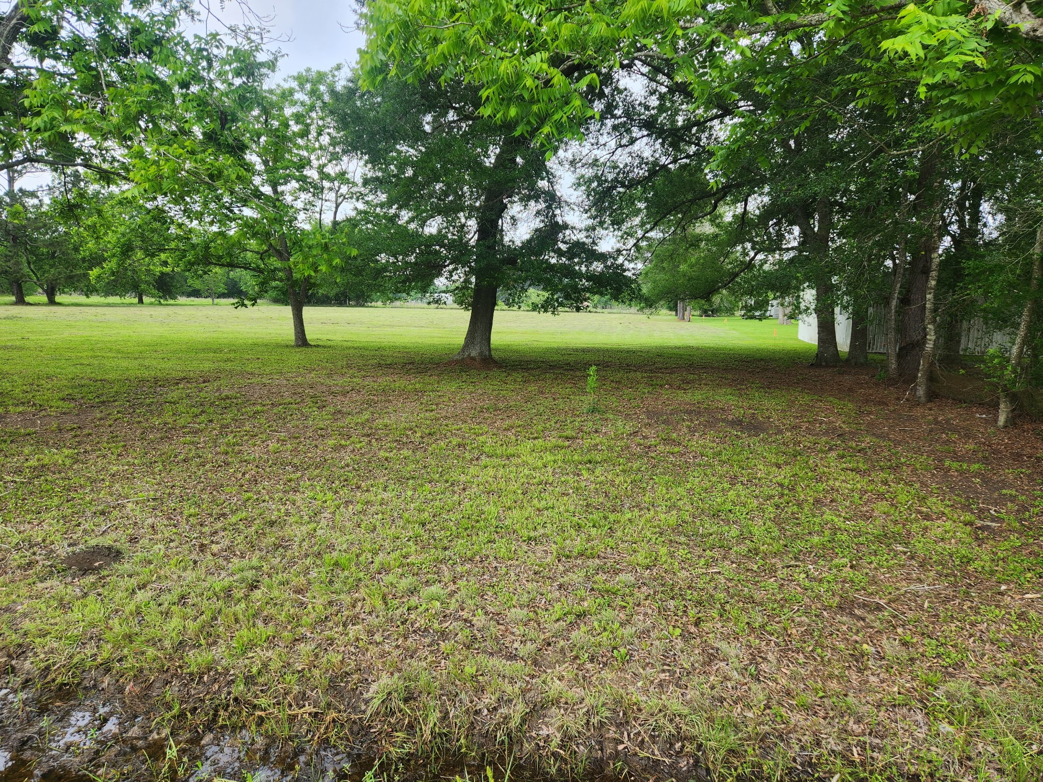 2121 County Road 6026 Property Photo 4