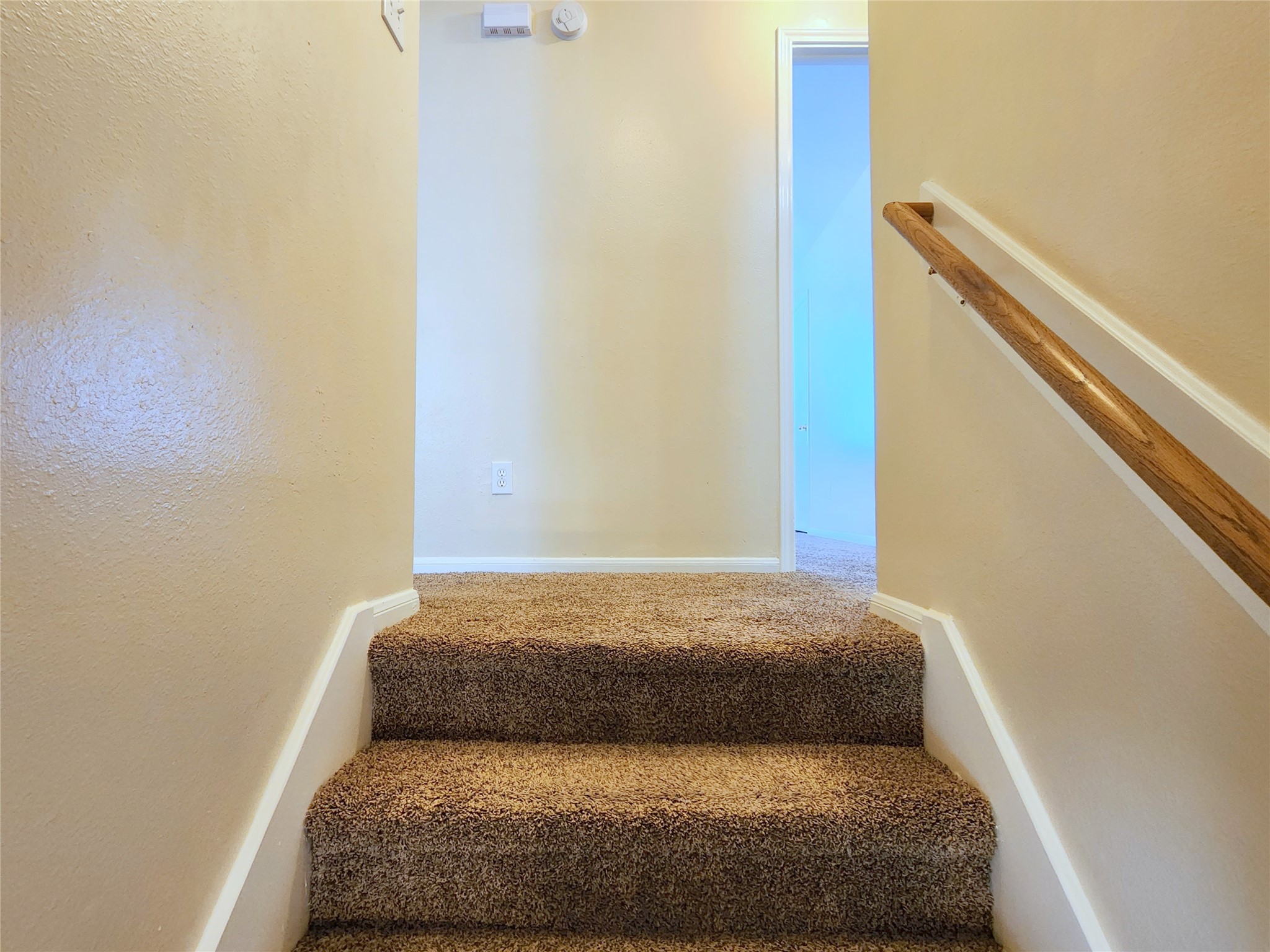 18123 Noble Forest Drive Property Photo 15
