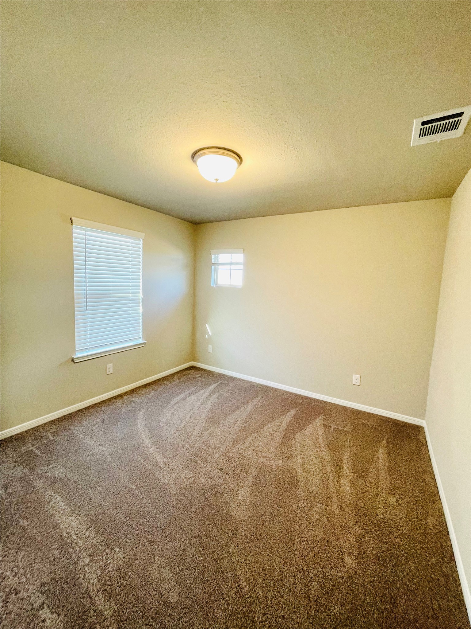 441 Aurora Creek Drive Property Photo 34