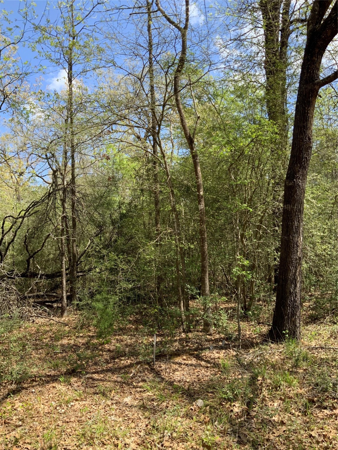 137 Foyt Drive Property Photo