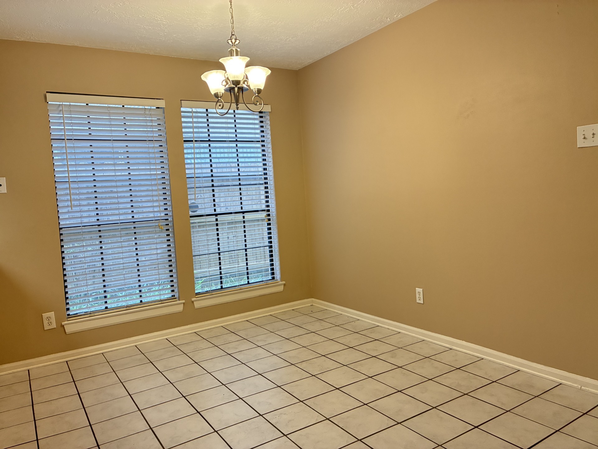16042 Pinyon Creek Drive Property Photo 8