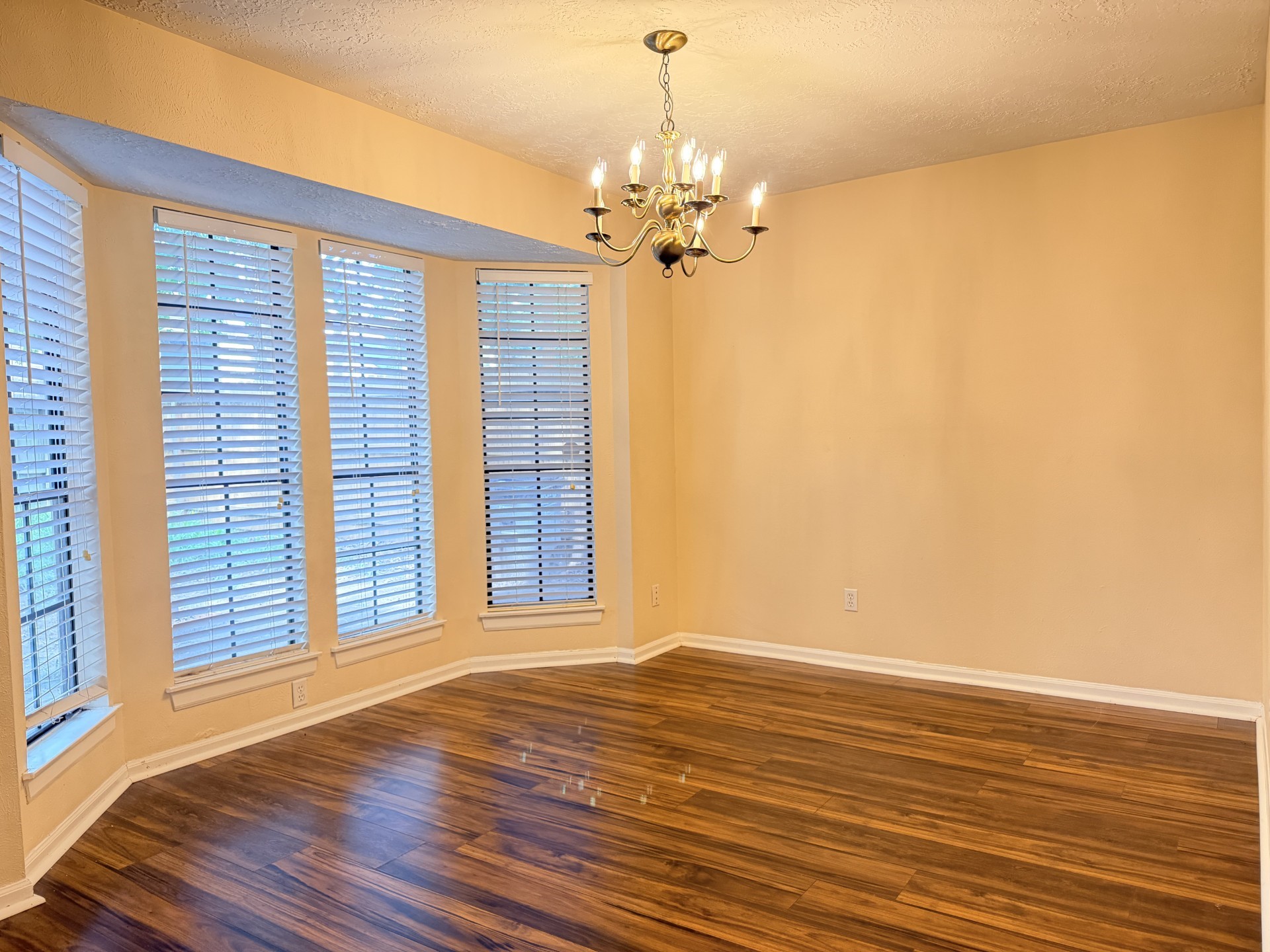 16042 Pinyon Creek Drive Property Photo 11