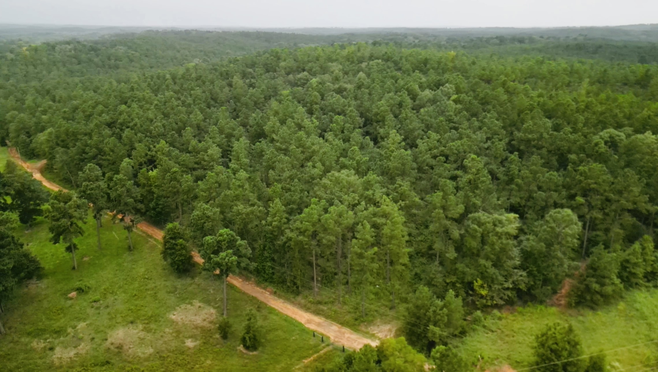 0 Forest Ridge Property Photo 4