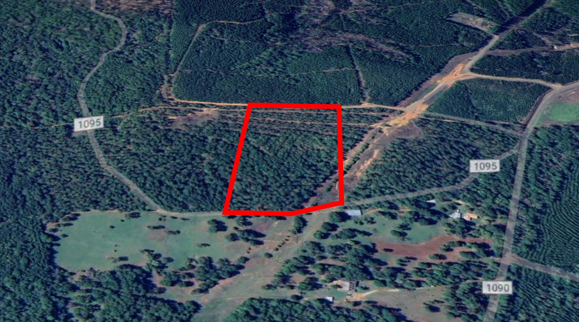 0 Forest Ridge Property Photo 6
