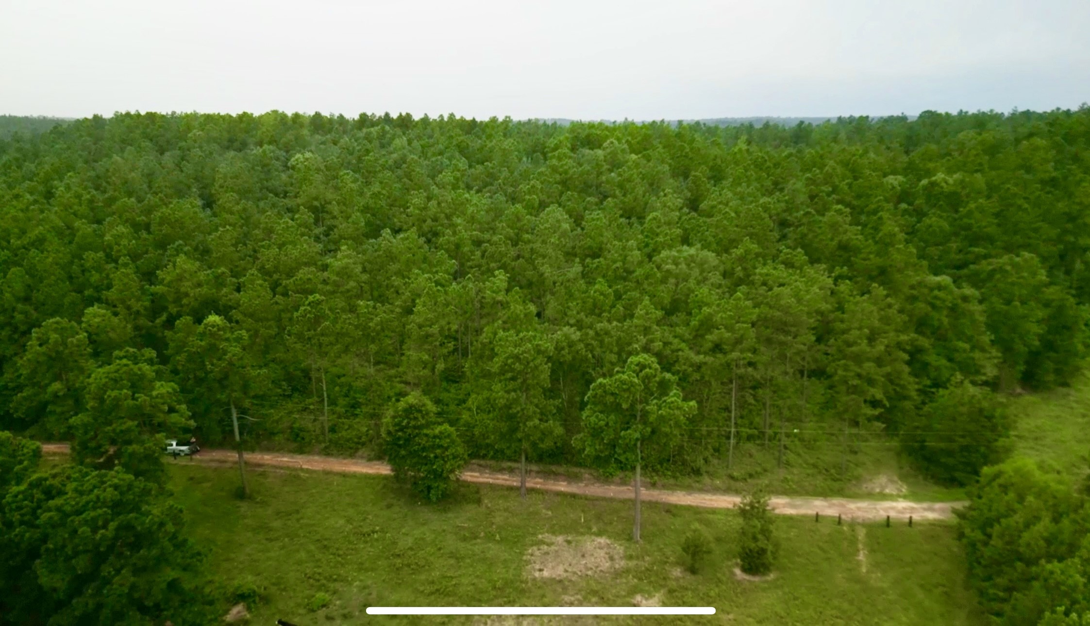 0 Forest Ridge Property Photo 7