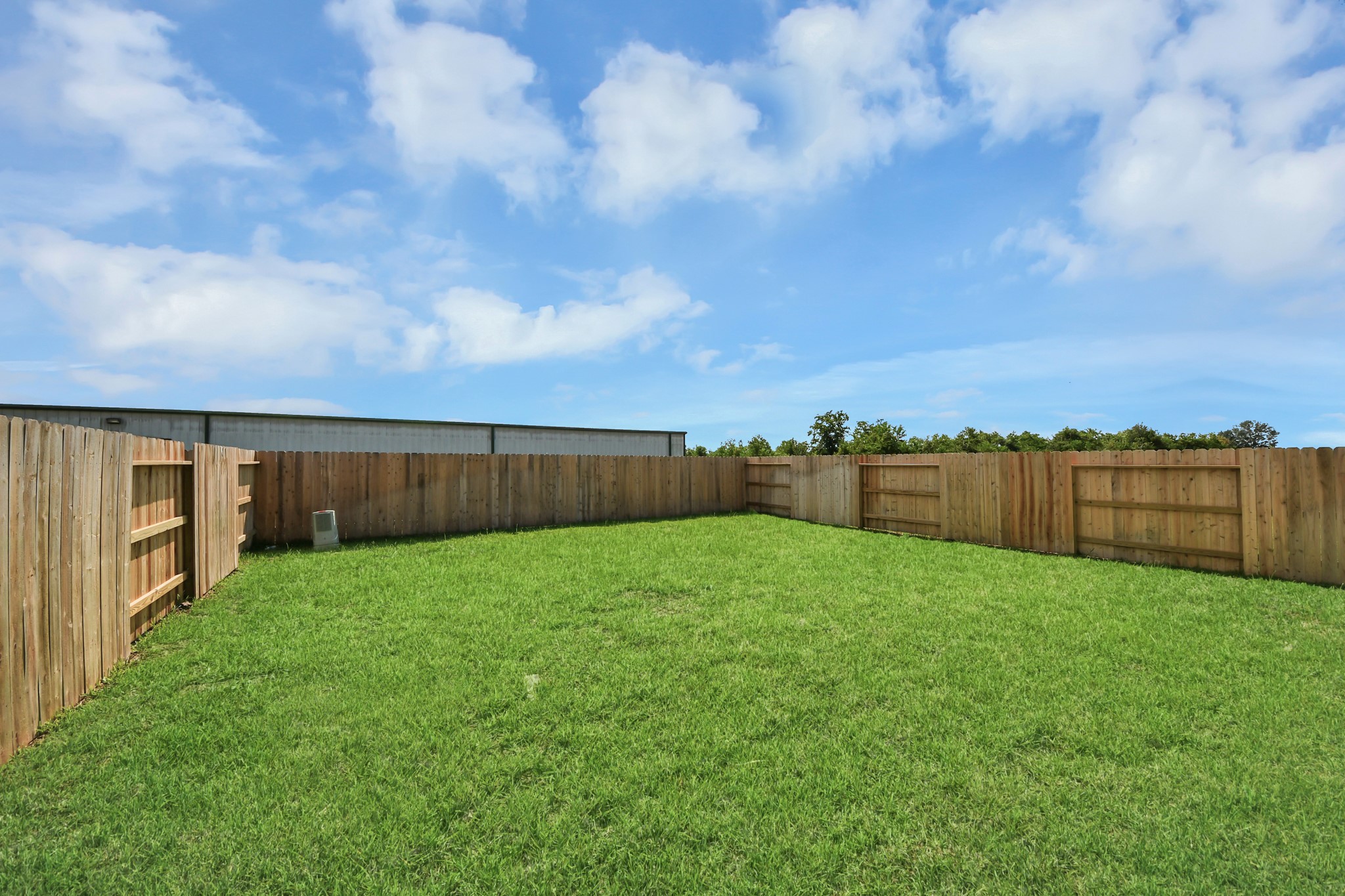 16003 Sycamore Maple Lane Property Photo 33