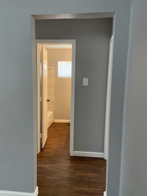 7812 Tierwester Street 210 Property Photo 4